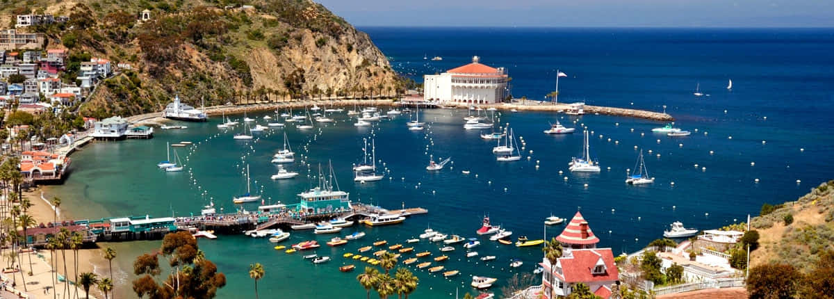California Island 桌布 壁紙 — 一個充滿活力的沿海港口，停滿了帆船和遊艇，坐落在懸崖和色彩繽紛的建築之間，天空湛藍清澈。