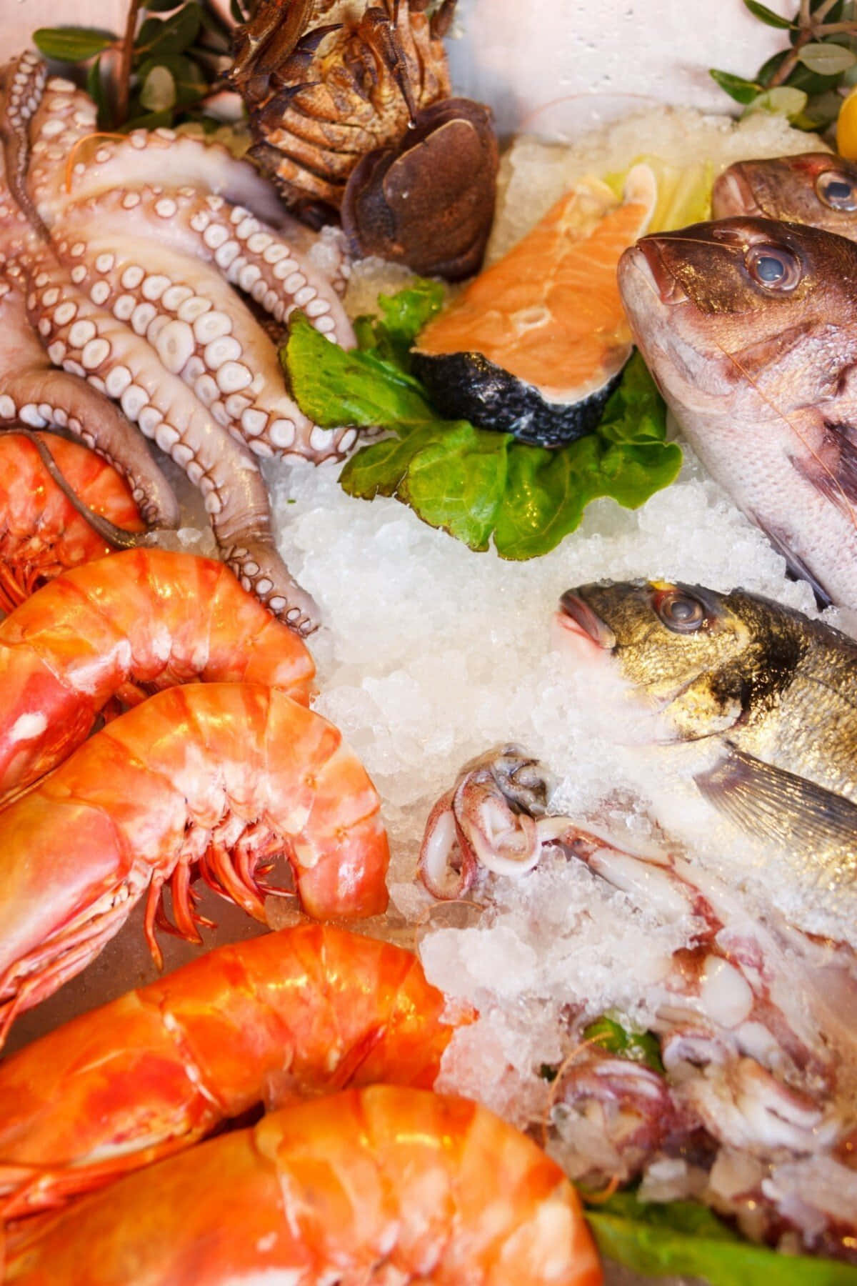 Seafood 桌布 壁紙 — 一個充滿活力的海鮮展示，包括八爪魚、蝦、三文魚和魚，放在碎冰上，配以新鮮蔬菜。