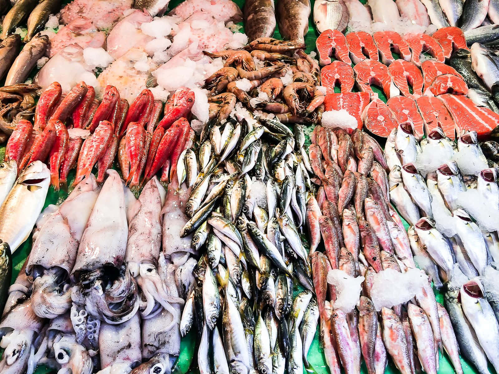 Seafood 桌布 壁紙 — 一個充滿活力的海鮮市場展示，新鮮的魚、魷魚、蝦和三文魚柳在明亮的日光下排列在冰上。