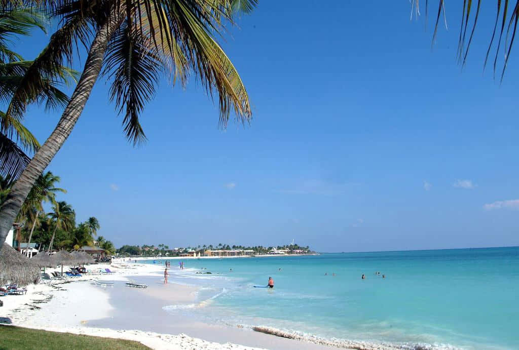 Caribbean Island 桌布 壁紙 — 一個充滿活力的熱帶海灘，擁有白色沙灘、碧綠海水和棕櫚樹在晴朗的藍天下搖曳。