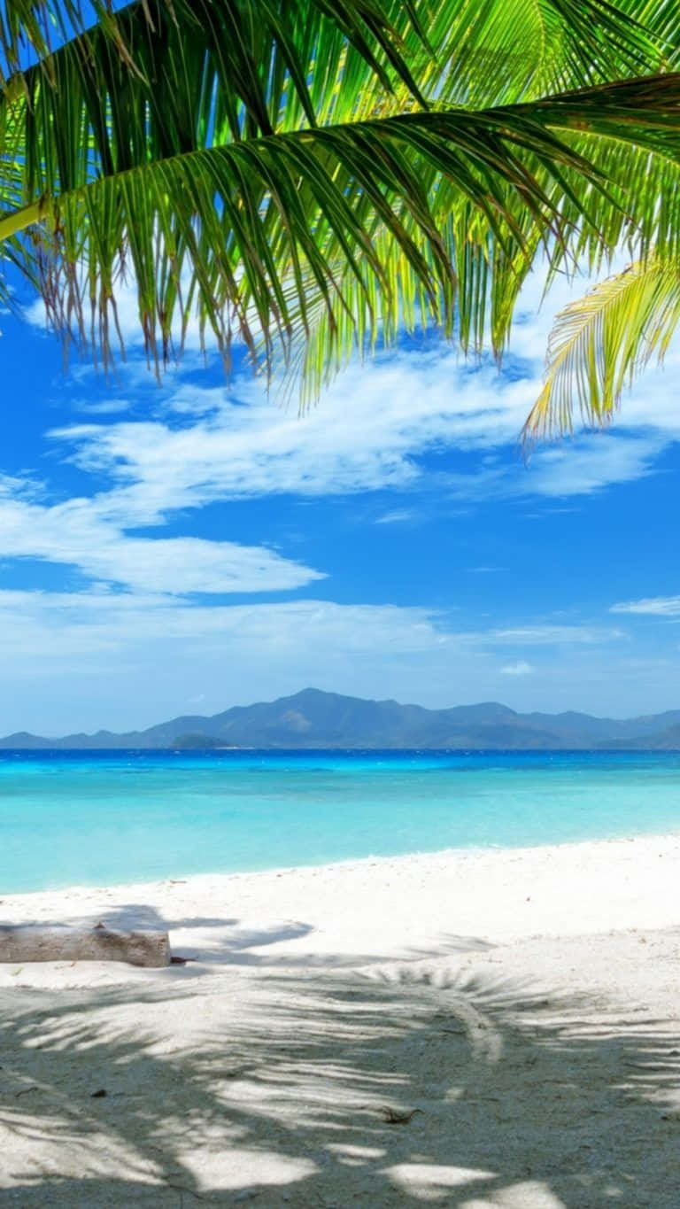 Beach Getaway 桌布 壁紙 — 一個充滿活力的熱帶海灘，有白色沙灘、碧綠海水和棕櫚葉在明亮的藍天下投下陰影。