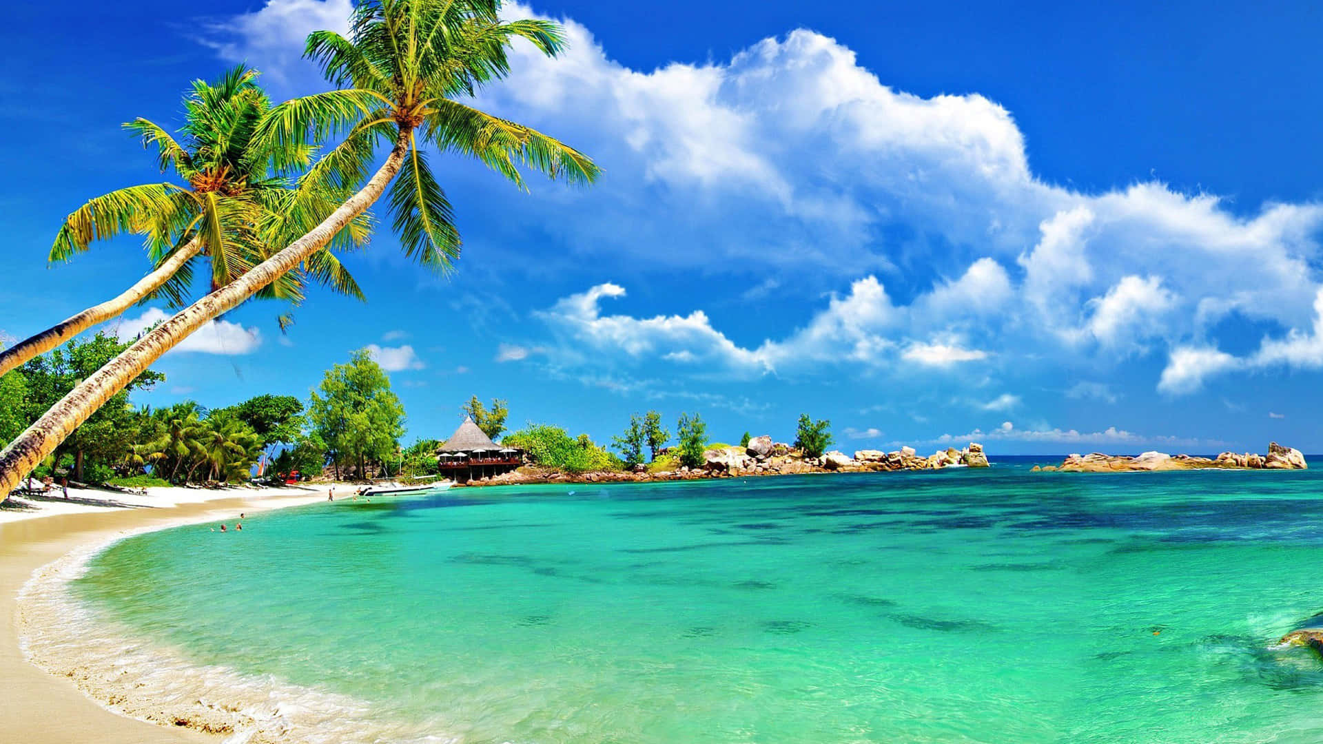 Beautiful Beach 桌布 壁紙 — 一個充滿活力的熱帶海灘，有碧綠的海水、棕櫚樹和茅草屋，在明亮的藍天和白雲下。