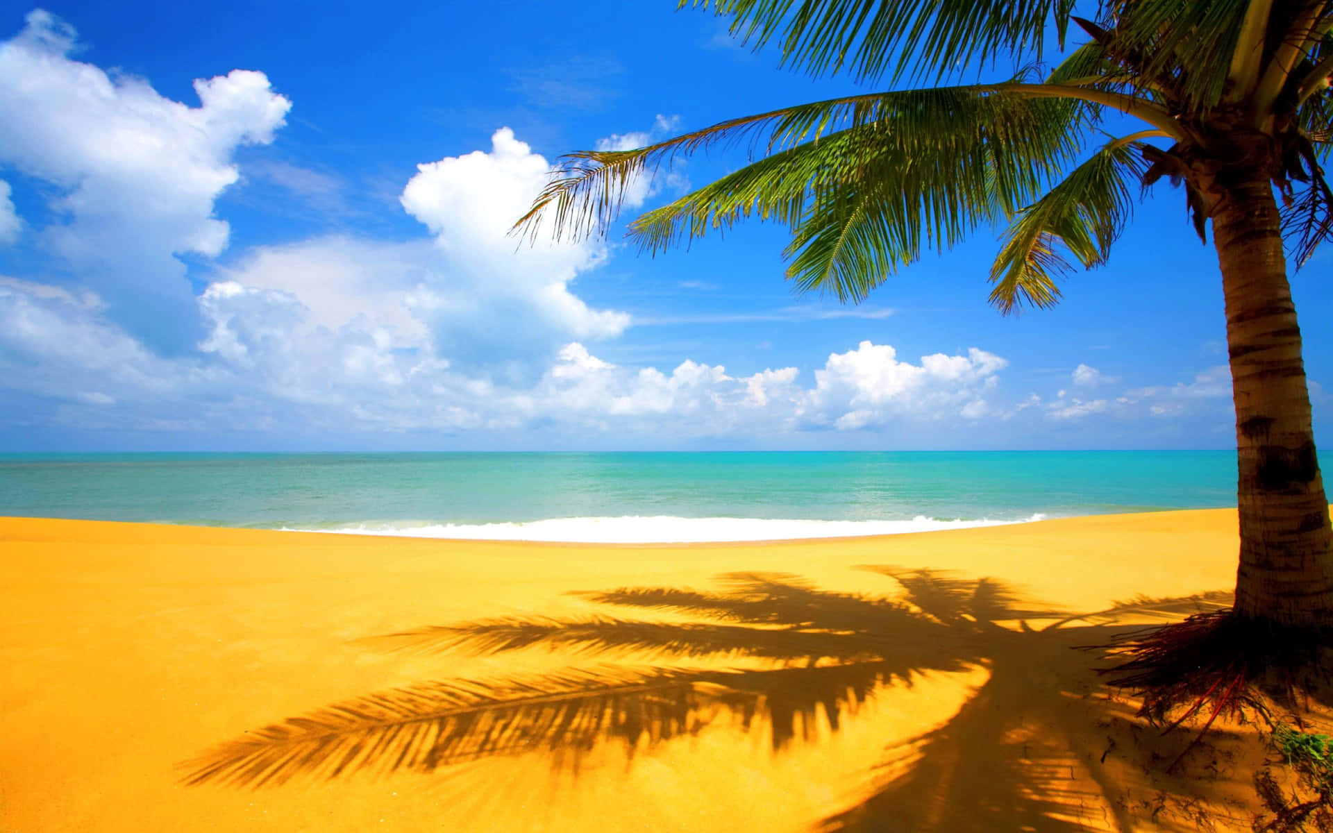Seashore 桌布 壁紙 — 一個充滿活力的熱帶海灘，有金色沙灘、棕櫚樹影和碧綠海洋，在明亮的藍天和蓬鬆的白雲下。