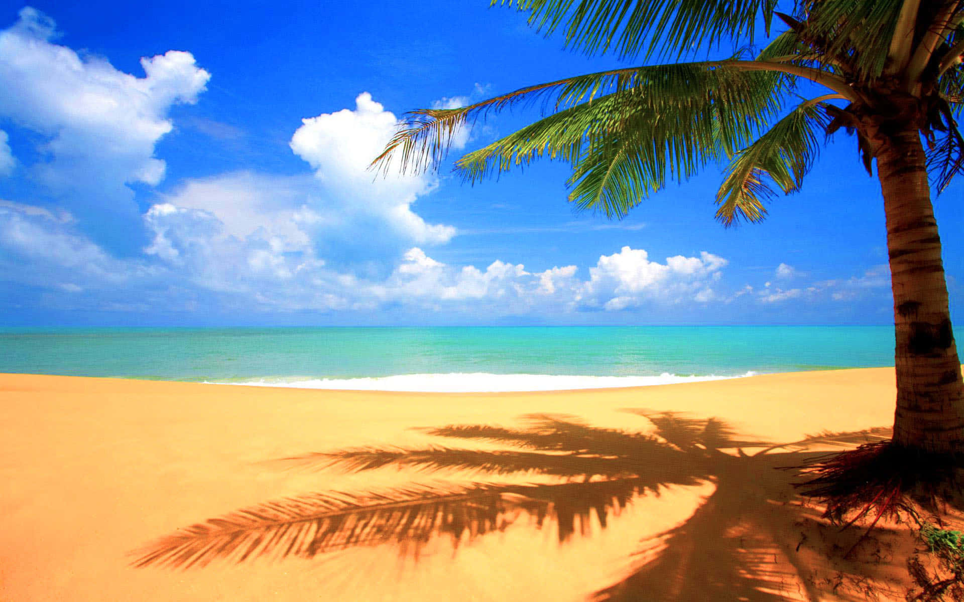 Beautiful Beach 桌布 壁紙 — 一個充滿活力的熱帶海灘，有金色沙灘、藍綠色海洋，以及一棵在明亮藍天和蓬鬆白雲下投下長長陰影的棕櫚樹。