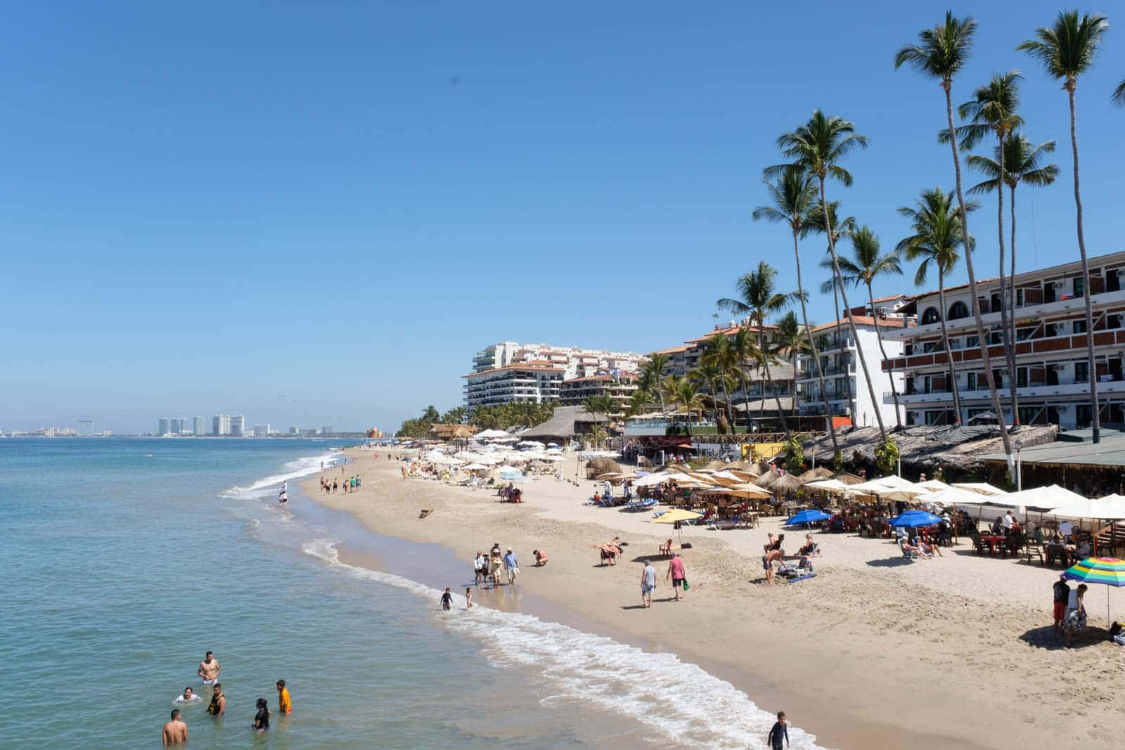 Mexican Beach 桌布 壁紙 — 一個充滿活力的熱帶海灘，棕櫚樹和沙灘傘下擠滿了享受日光浴的人們，背景是清澈的藍天。
