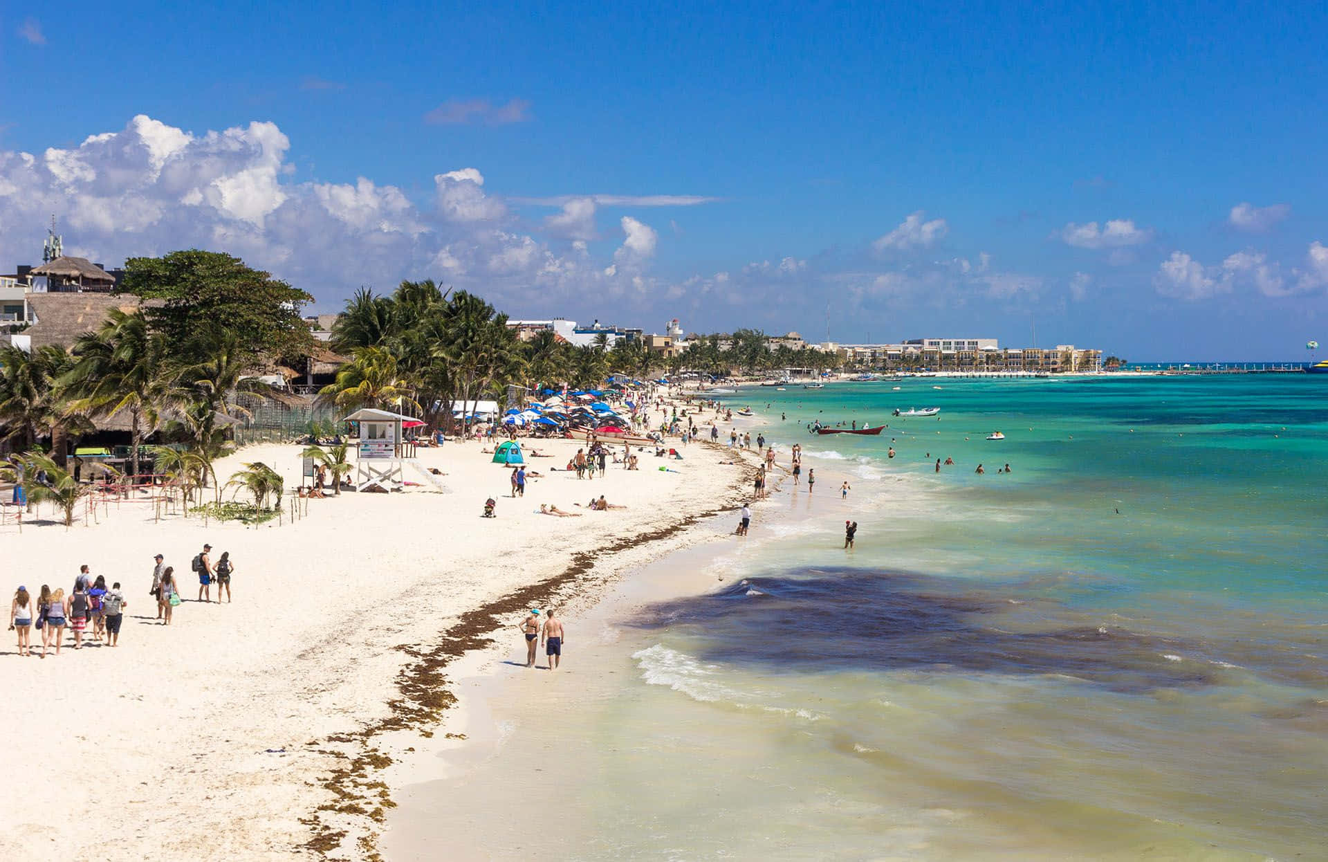 Mexican Beach 桌布 壁紙 — 一個充滿活力的熱帶海灘場景，有碧綠的海水、白色的沙灘、棕櫚樹和人們在藍天白雲下享受陽光燦爛的日子。