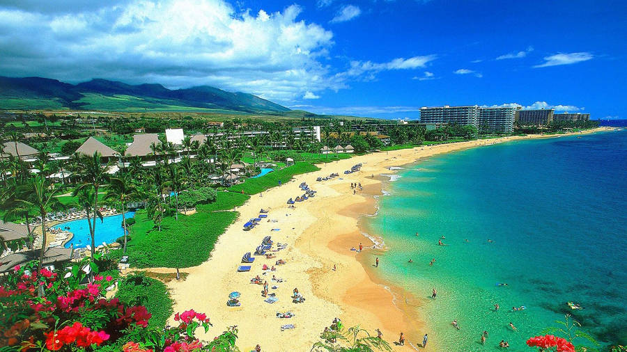 夏威夷 桌布 壁紙 — 一個充滿活力的熱帶海灘場景，有碧綠的海水、金色的沙灘、茂密的棕櫚樹和度假村建築，在明亮的藍天下。