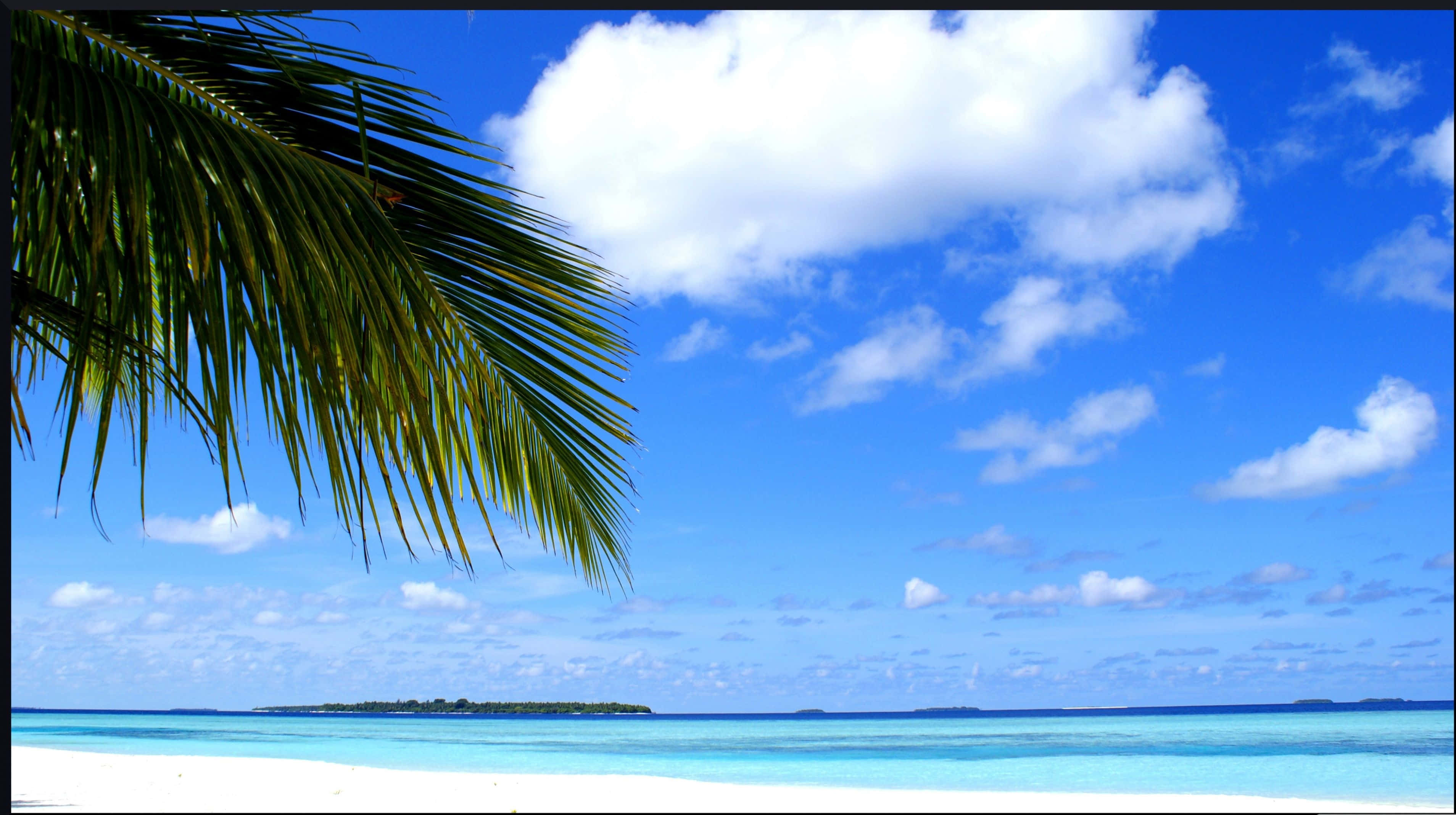 Maldives Beach 桌布 壁紙 — 一個充滿活力的熱帶海灘場景，有碧綠的海水、白色的沙灘和茂密的棕櫚葉，襯托著點綴著蓬鬆雲朵的明亮藍天。