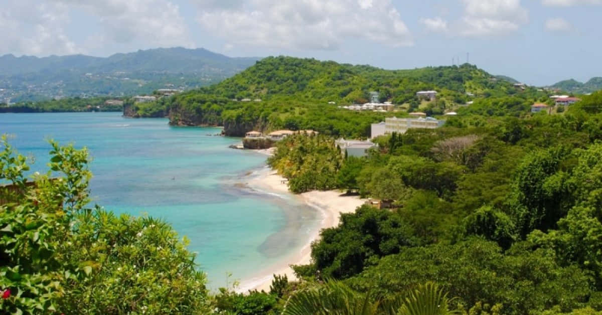 Caribbean Island 桌布 壁紙 — 一個充滿活力的熱帶海灣，碧綠的海水環繞著一個白色沙灘，沙灘坐落在鬱鬱蔥蔥的綠色山丘之間，山丘上散落著建築物，上方是明亮的藍天。