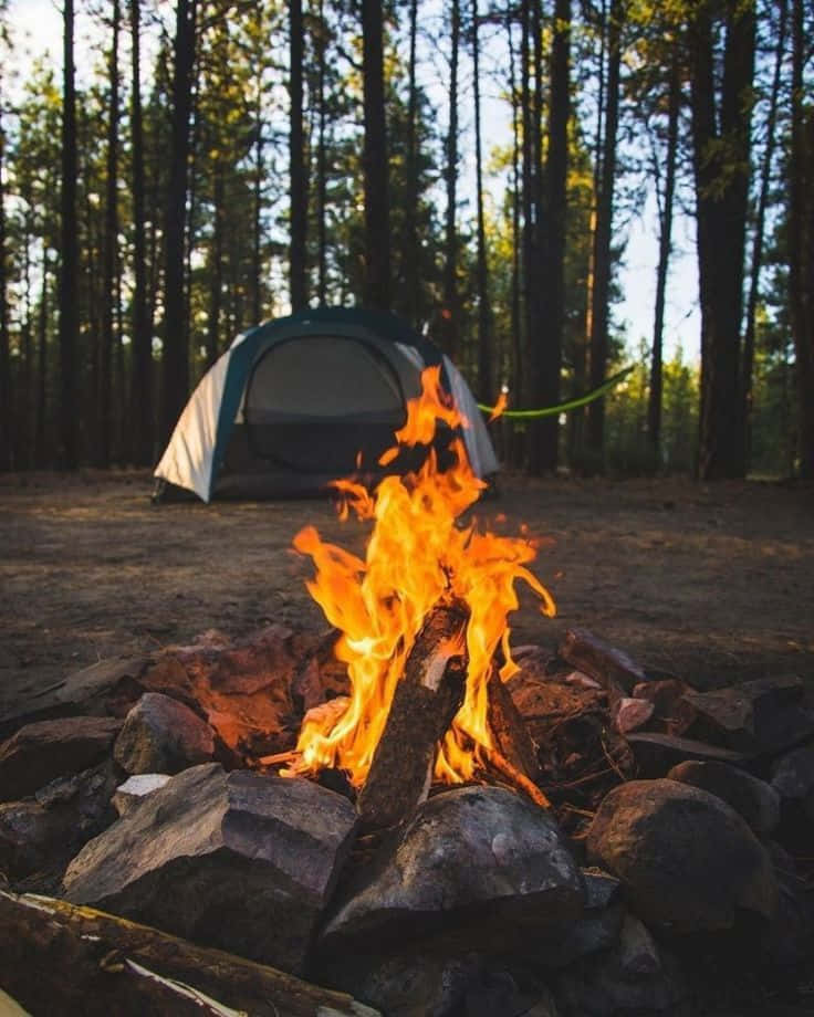 Minimalist Camping 桌布 壁紙 — 一個充滿活力的營火在石圈中噼啪作響，帳篷 nestled 在高大的松樹之間，正值黃金時刻。