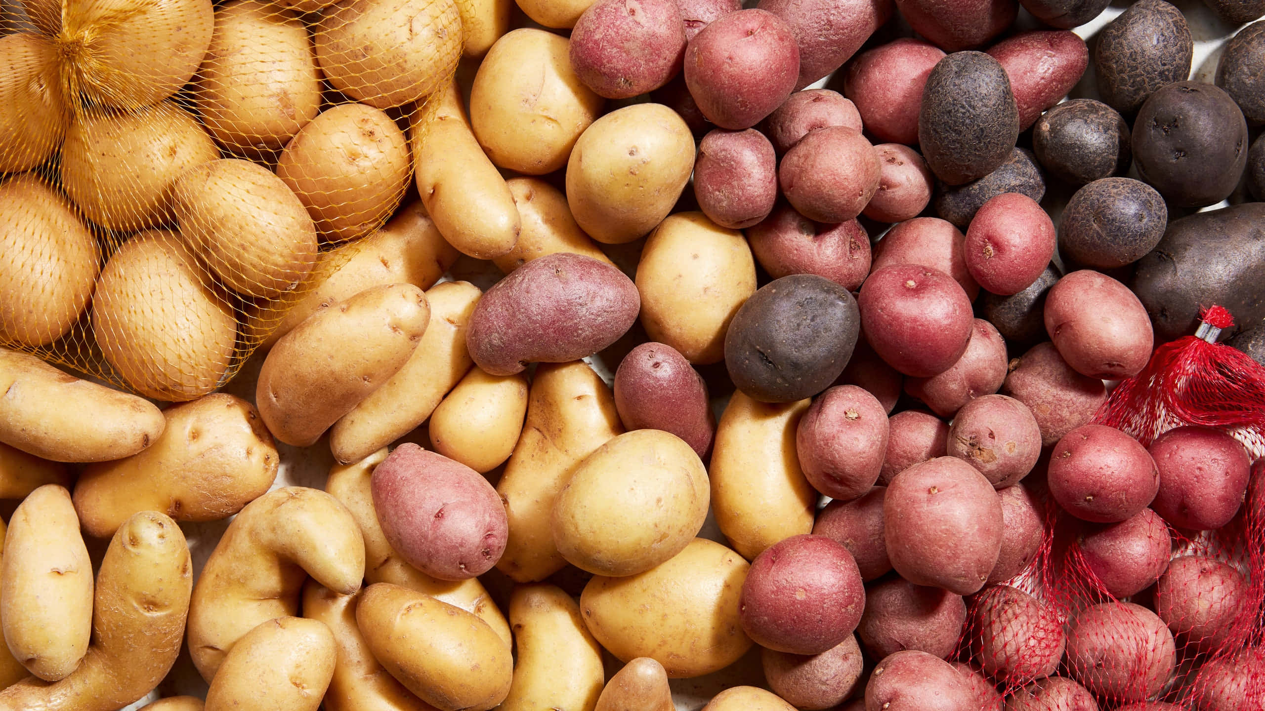 Red Potatoes 桌布 壁紙 — 一個充滿活力的特寫，展示了黃色、紅色和紫色色調的各種馬鈴薯堆疊在網袋中。
