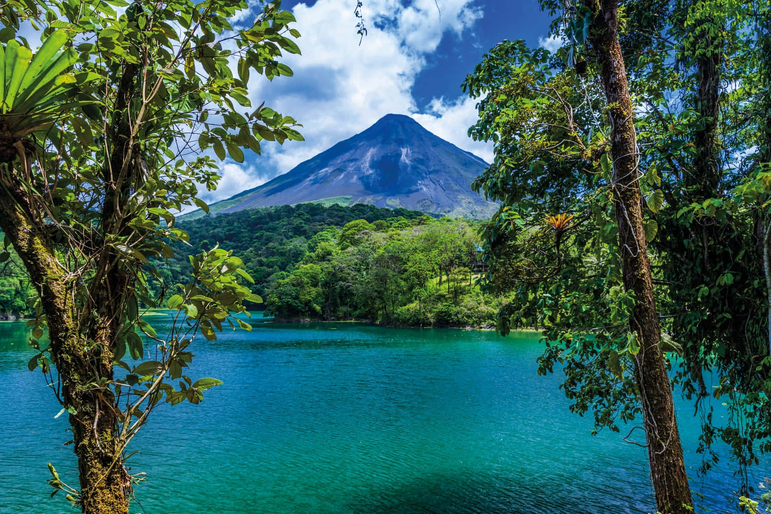 Costa Rica 桌布 壁紙 — 一個充滿活力的碧綠湖泊，四周環繞著茂密的綠樹，雄偉的火山在明亮的藍天下聳立。