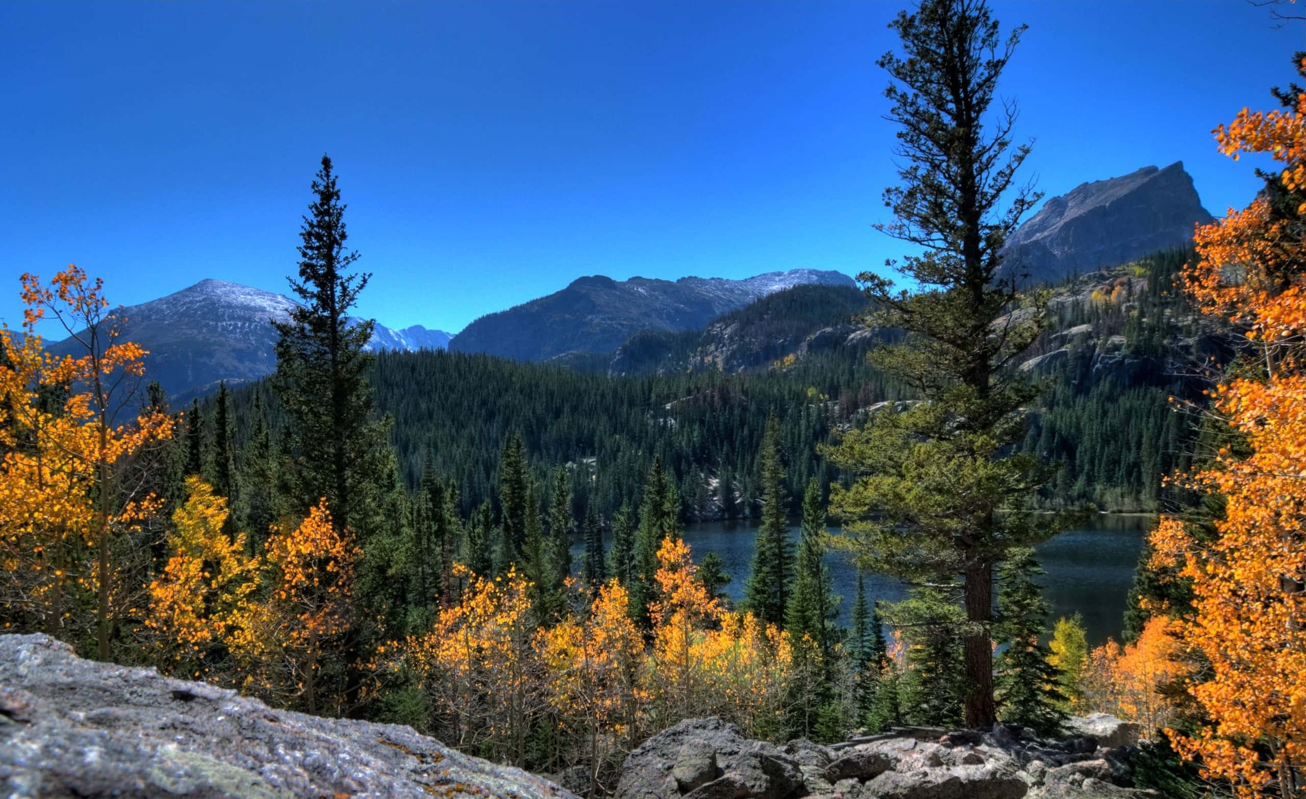 Colorado 桌布 壁紙 — 一個充滿活力的秋季山湖，被金色的白楊和常青樹環繞，在清澈的藍天下。