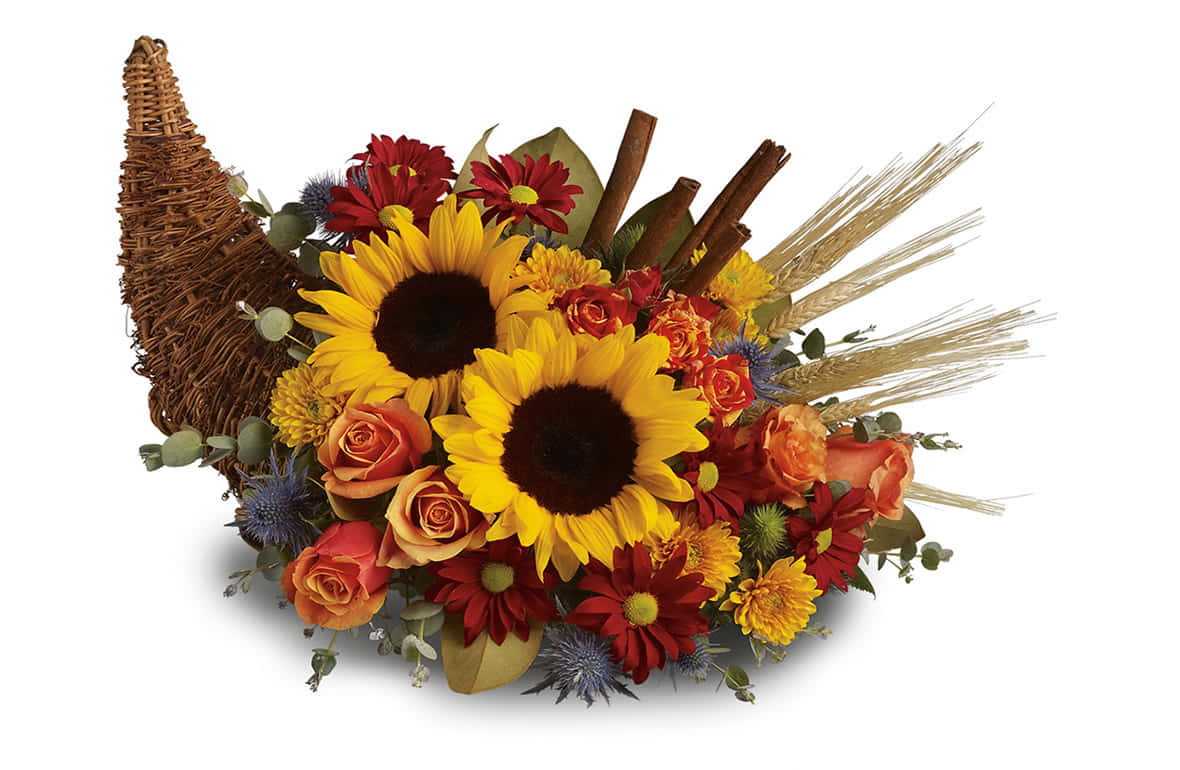 Fall Cornucopia 桌布 壁紙 — 一個充滿活力的秋季豐收角，裝滿向日葵、玫瑰和小麥，背景是潔淨的白色。