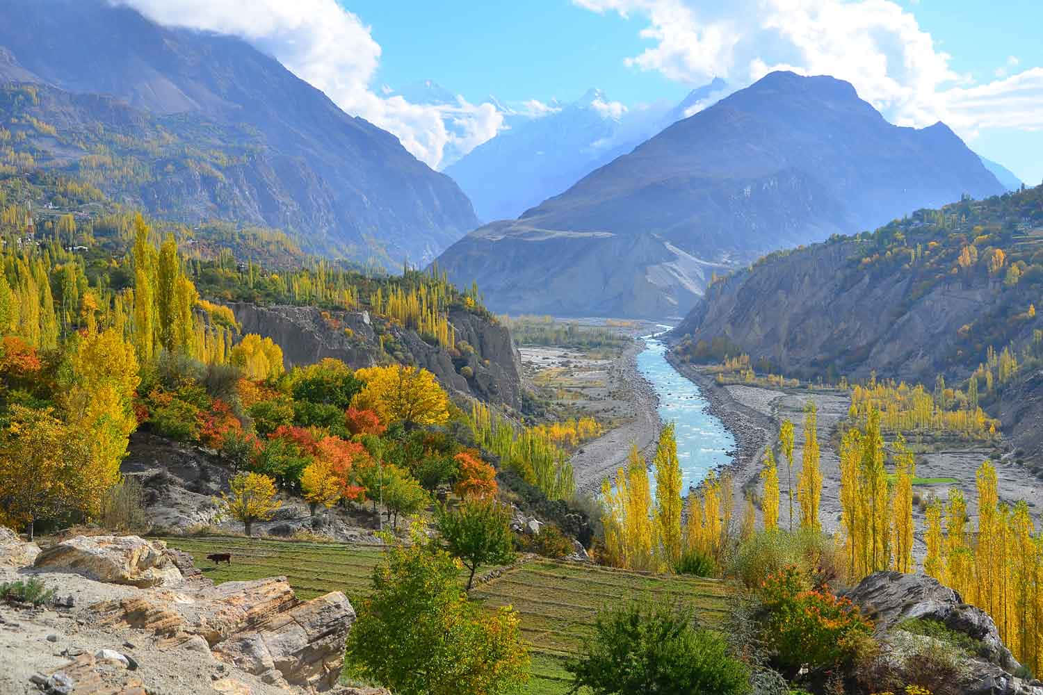 Pakistan 桌布 壁紙 — 一個充滿活力的秋日山谷，金色樹木排列在碧綠的河流兩旁，河流蜿蜒穿過崎嶇的山脈，上方是明亮的藍天。