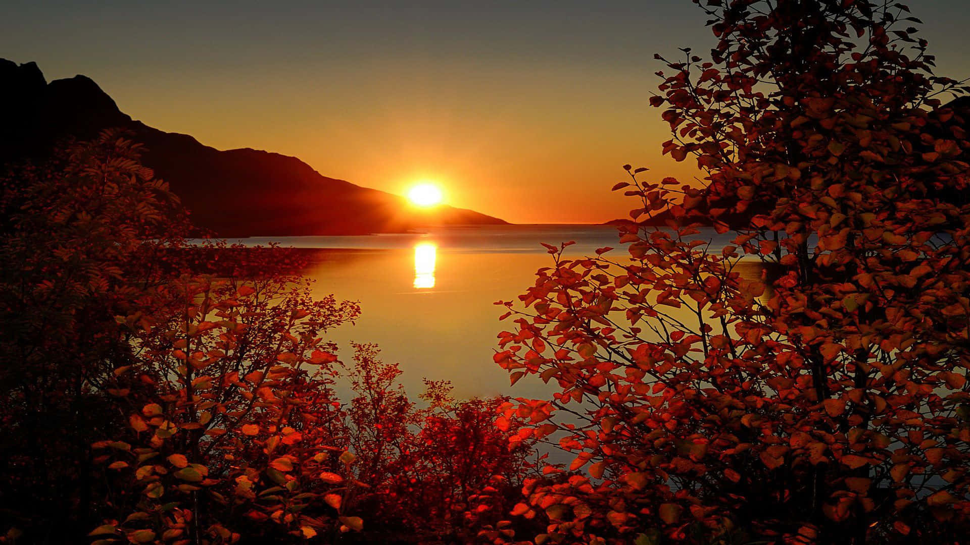 Facebook Cover 桌布 壁紙 — 一個充滿活力的秋日落日照耀著一個平靜的湖泊，周圍環繞著火紅的樹葉和輪廓分明的山脈。