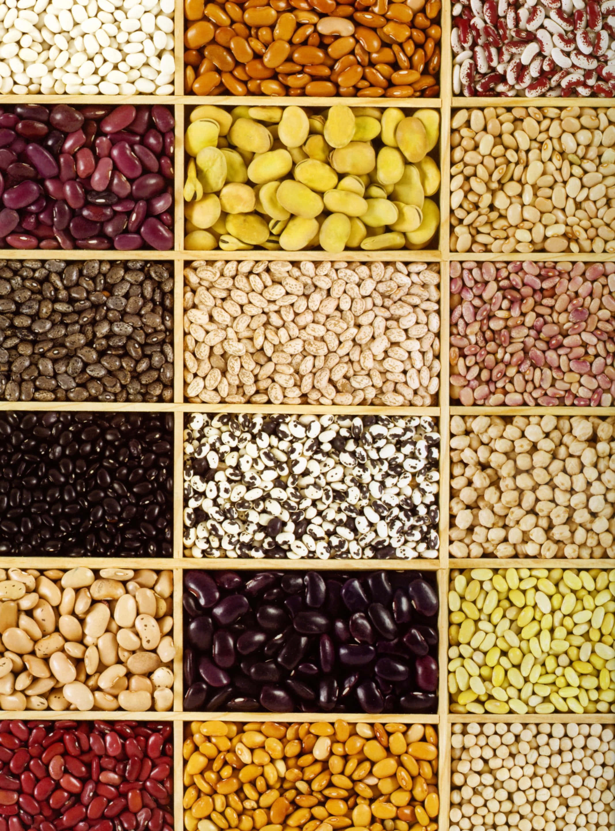 beans 桌布 壁紙 — 一個充滿活力的網格，展示木製隔間中各種豆類的豐富色彩和質感。