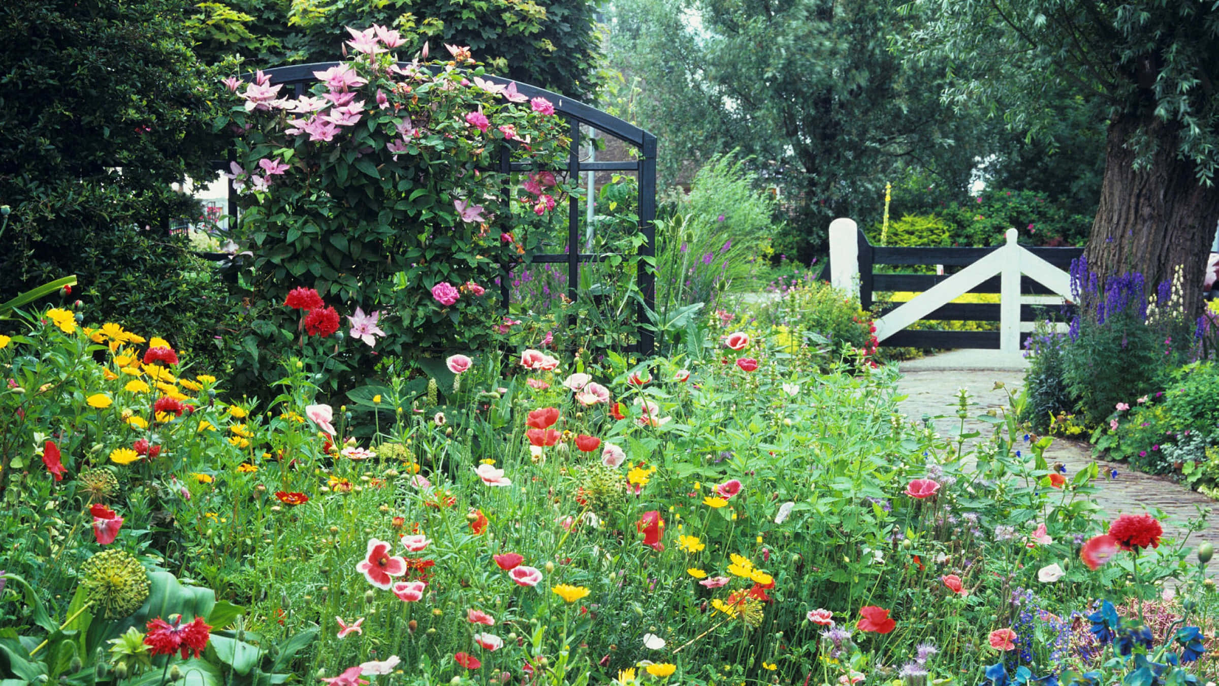 Cottage Garden 桌布 壁紙 — 一個充滿活力的花園，開滿了色彩繽紛的野花和攀緣玫瑰，拱形覆蓋在一條通往白色大門的石徑上。