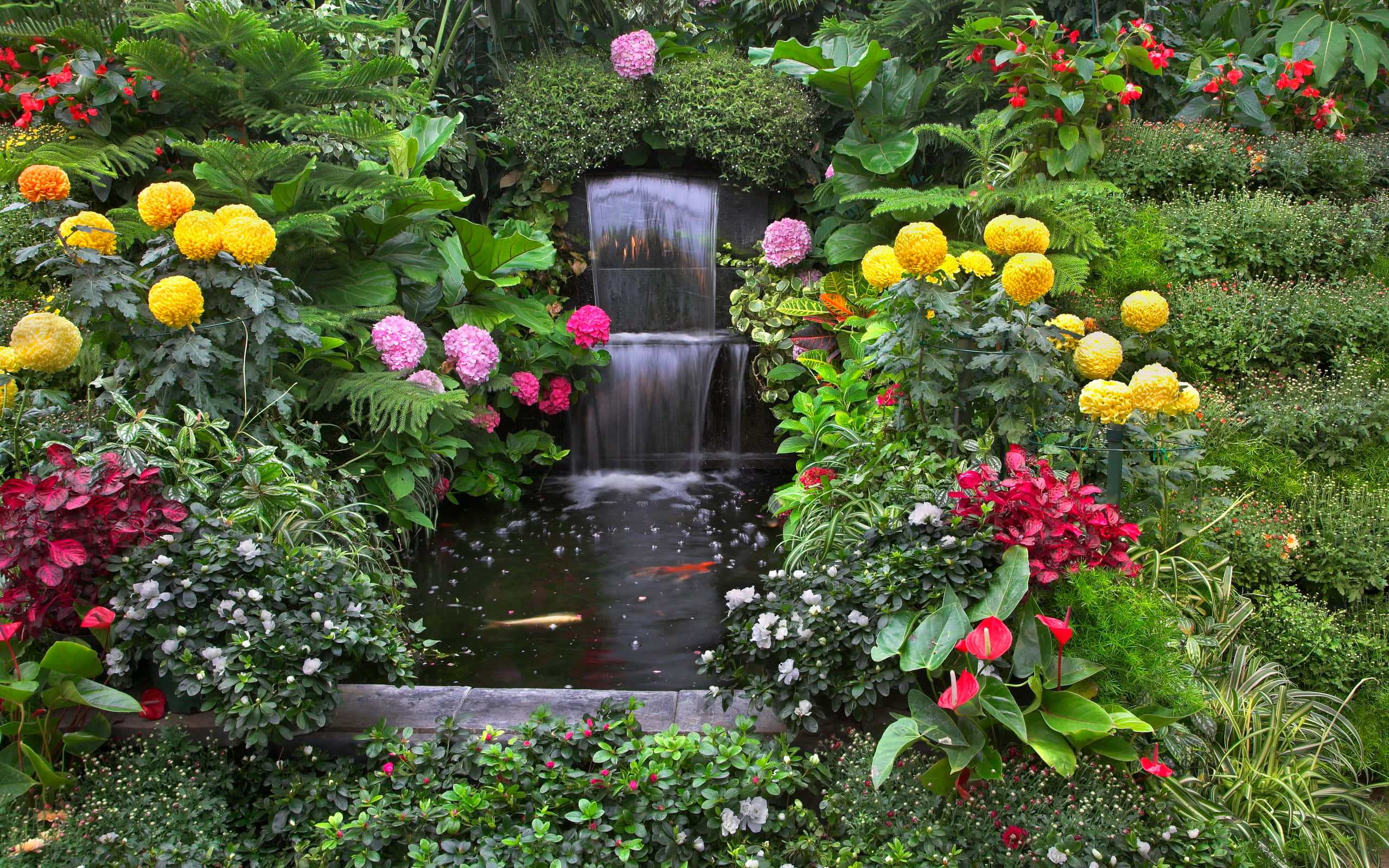 Garden Photography 桌布 壁紙 — 一個充滿活力的花園瀑布，周圍環繞著茂密的綠植和色彩繽紛的花朵，包括黃色、粉紅色和紅色的花朵，錦鯉在下方游動。