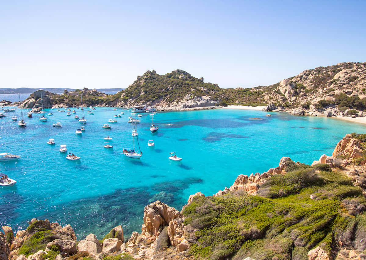 Italian Island 桌布 壁紙 — 一個充滿活力的藍綠色海灣，停滿了帆船，坐落在陽光普照的岩石懸崖和綠色灌木叢之間，上方是清澈的藍天。