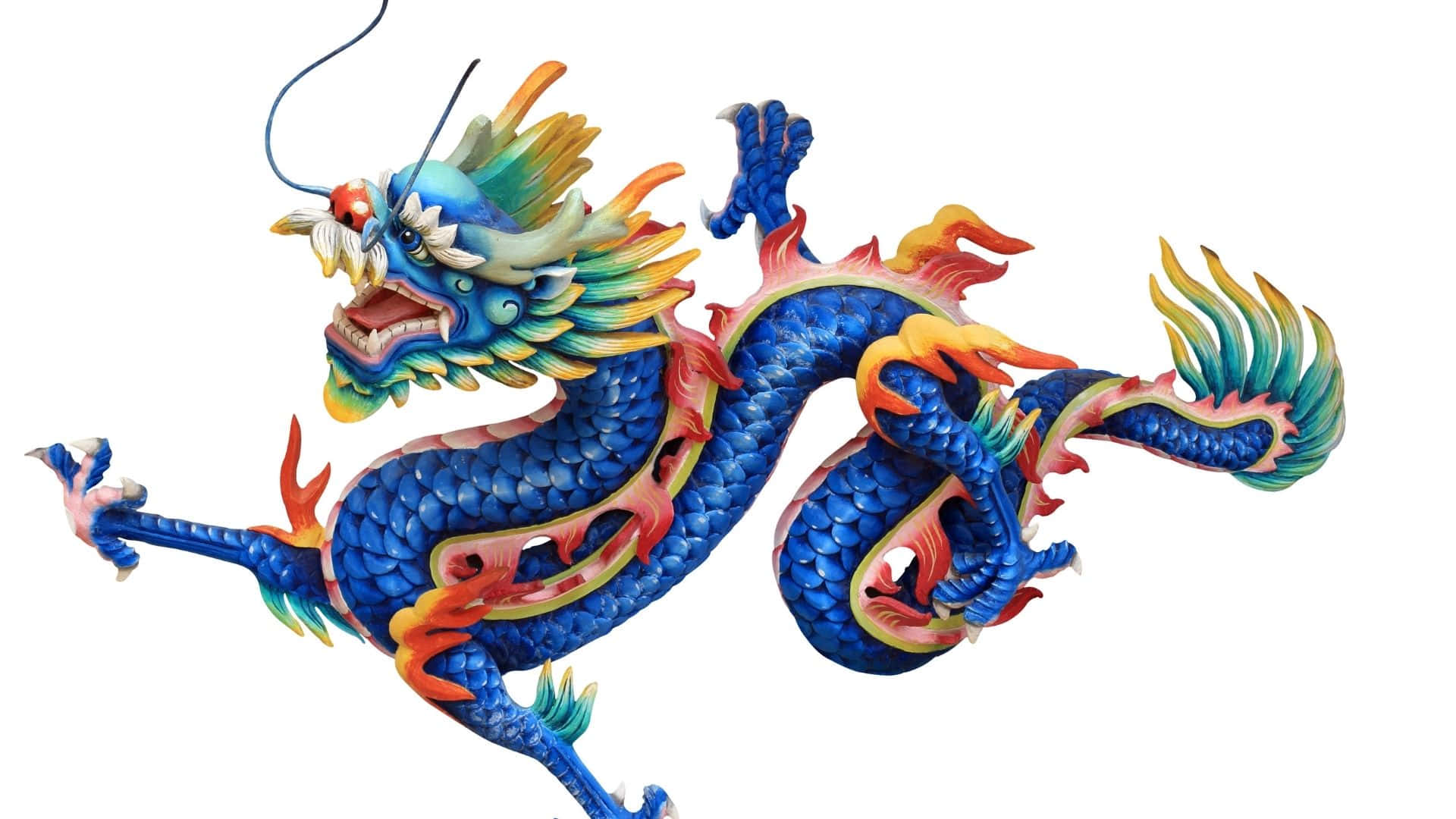 Blue Dragon 桌布 壁紙 — 一個充滿活力的藍色龍雕塑，帶有火熱的橙色和綠色點綴，在純白色背景上動態盤繞。