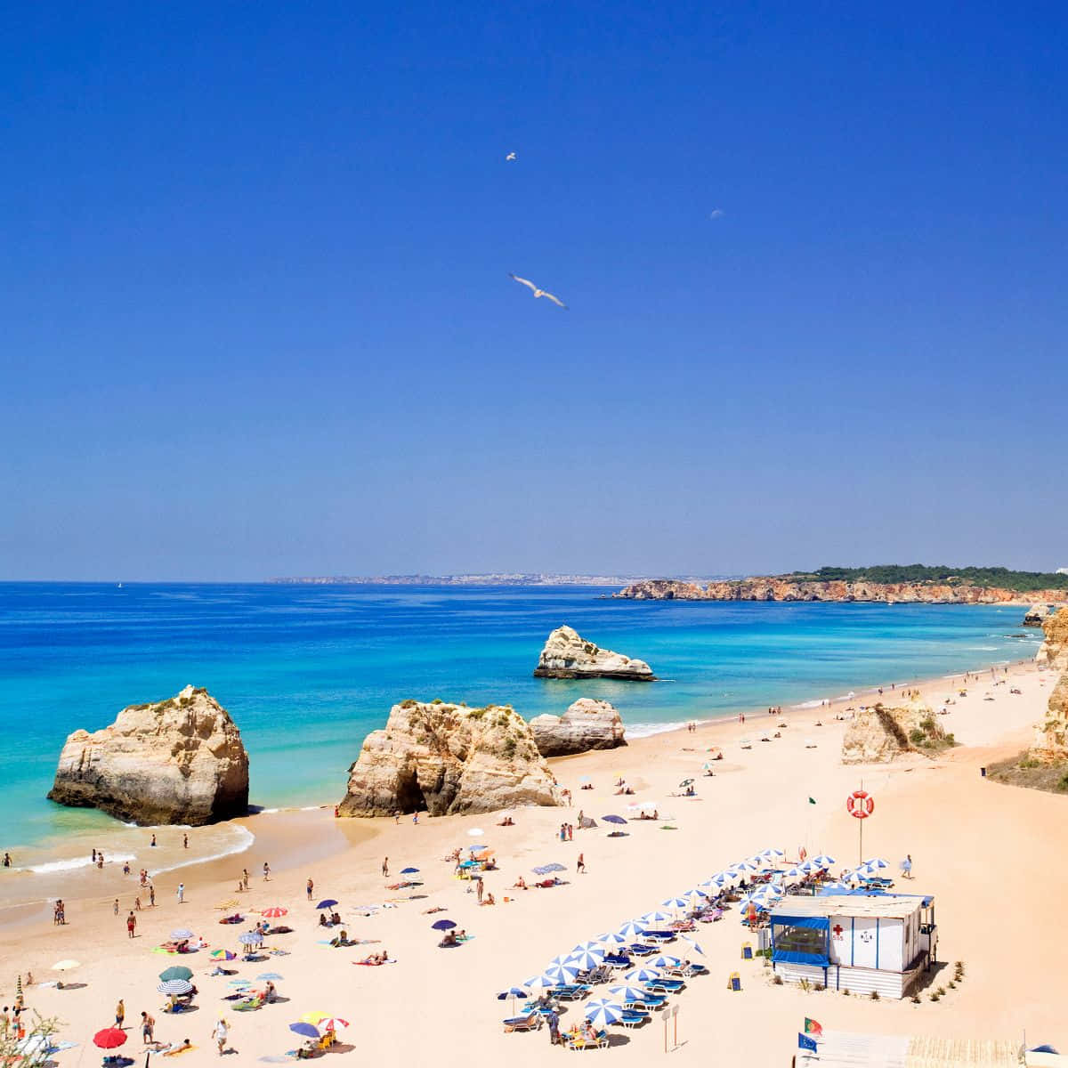 Portuguese Beach 桌布 壁紙 — 一個充滿活力的陽光海灘，有碧綠的海水、岩石露頭，人們在色彩繽紛的遮陽傘下放鬆。