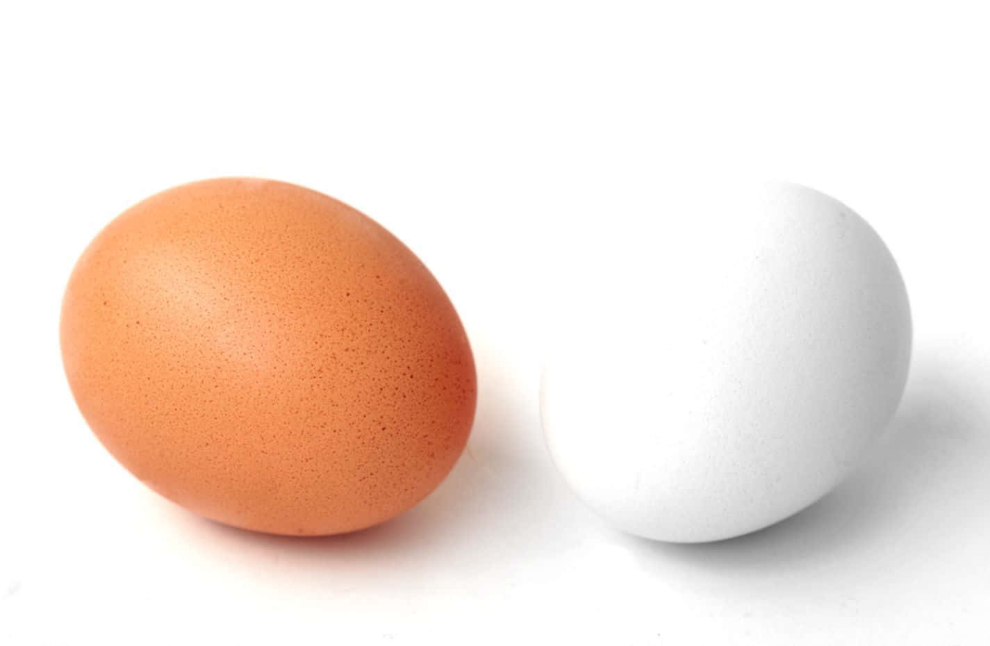 Egg 桌布 壁紙 — 一個光滑的棕色雞蛋和一個普通的白色雞蛋並排放在明亮的白色表面上。
