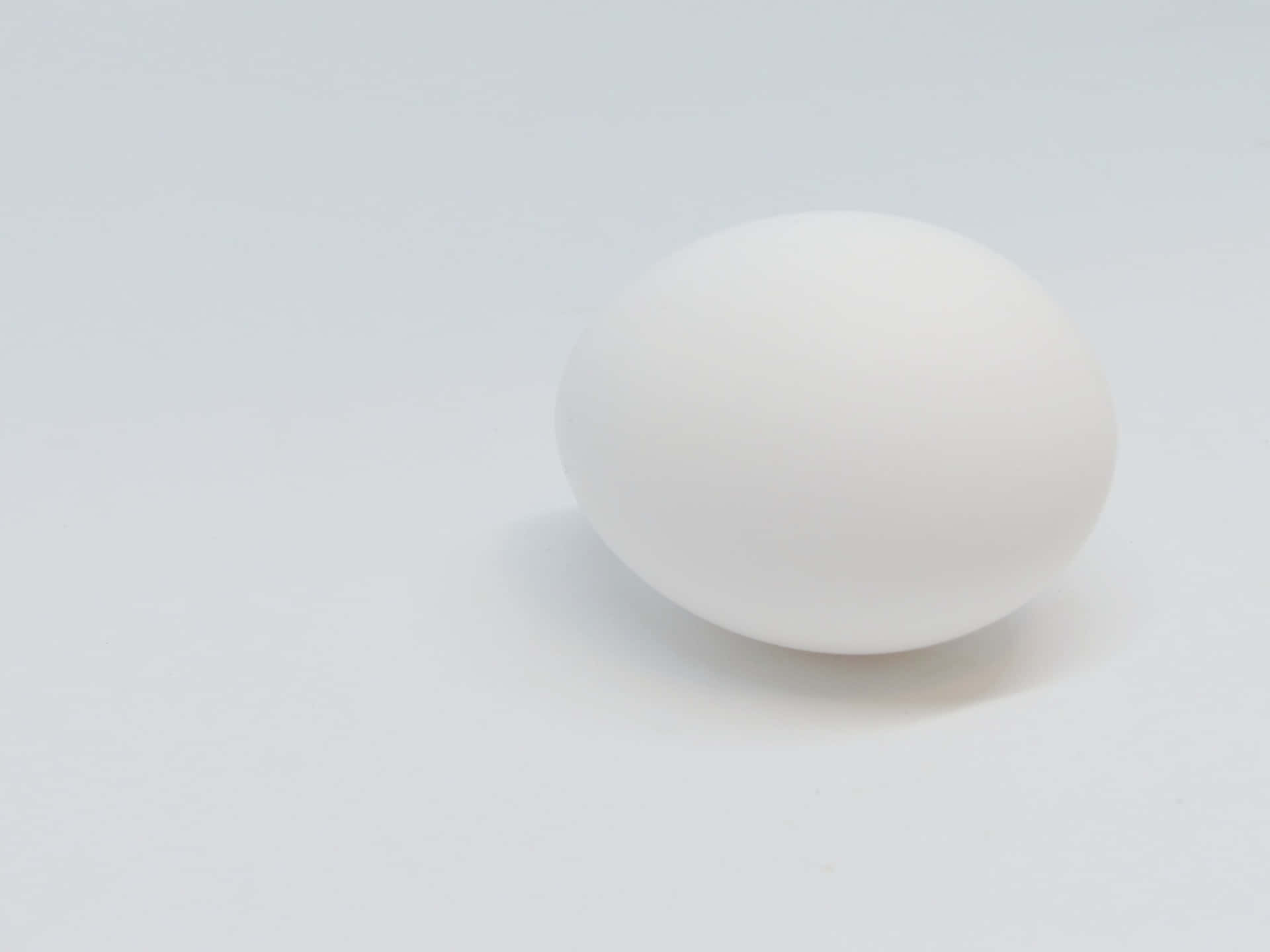 Egg White 桌布 壁紙 — 一個光滑的白雞蛋在柔和均勻的光線下，放置在無縫的白色表面上。