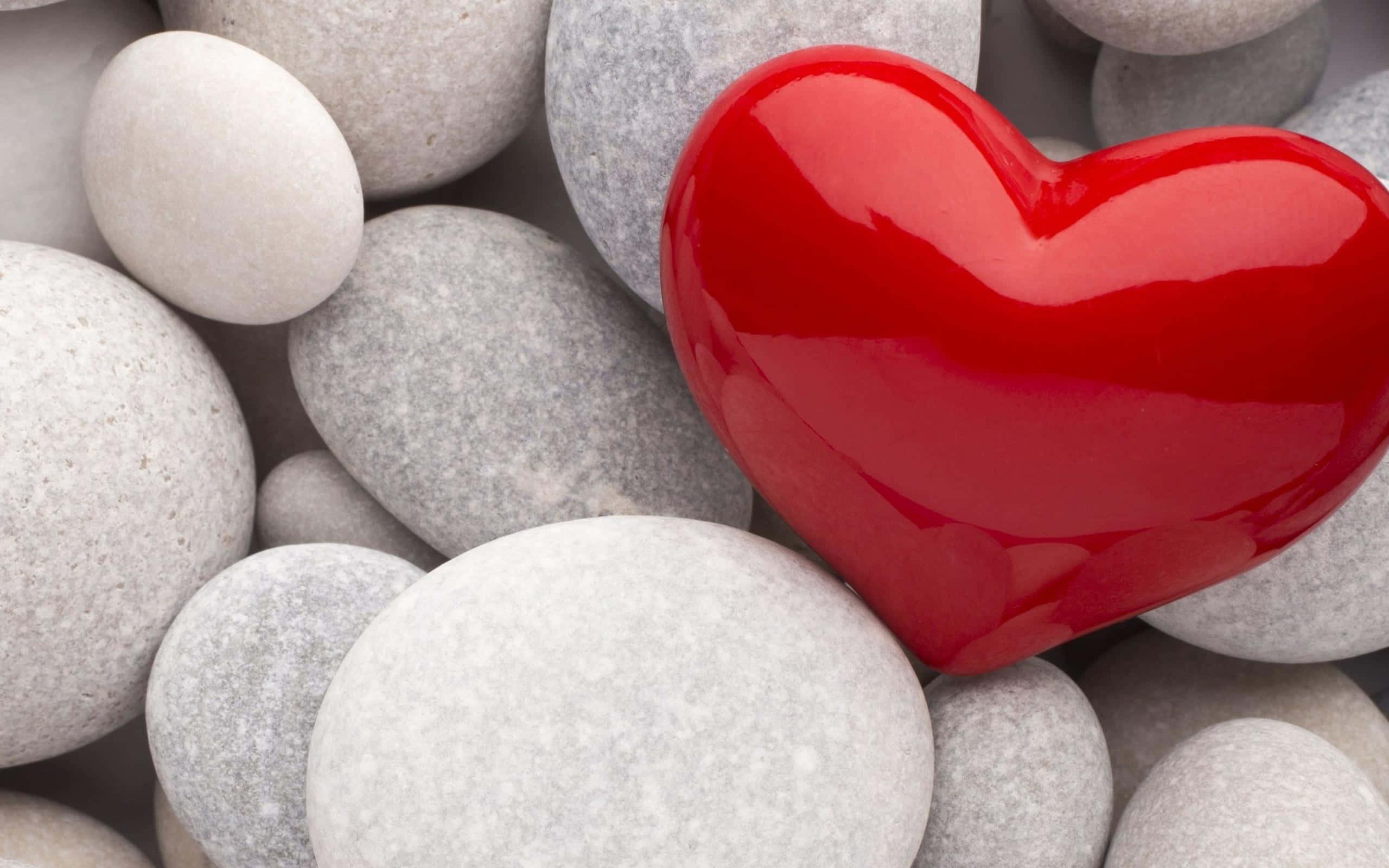 Red Heart 桌布 壁紙 — 一個光滑的紅色心形物體放置在光滑的灰色和白色河石之間，以特寫構圖呈現。