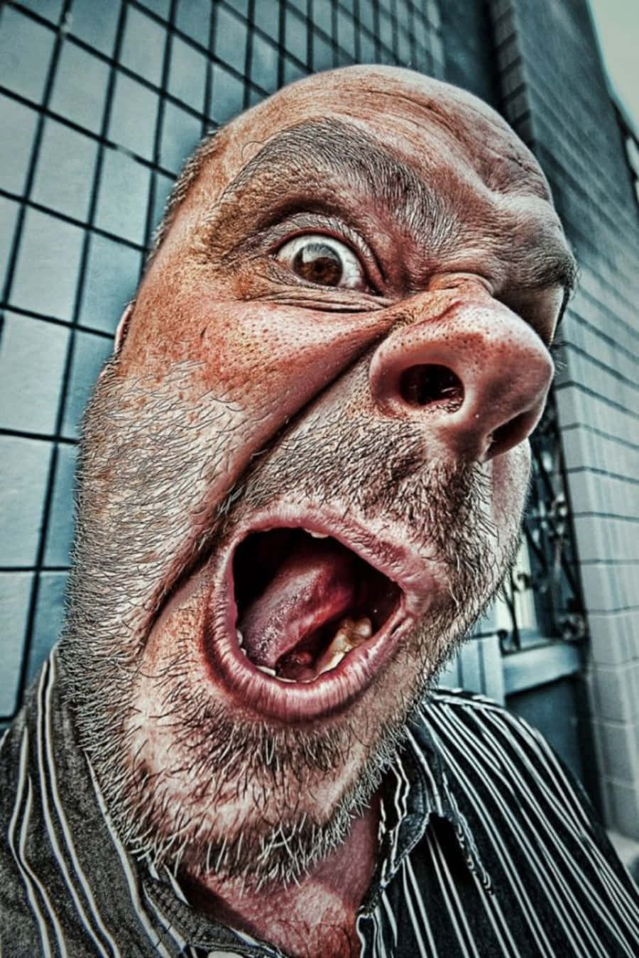 Funny Faces 桌布 壁紙 — 一個光頭男人對著瓷磚牆尖叫，表情震驚的特寫照片。