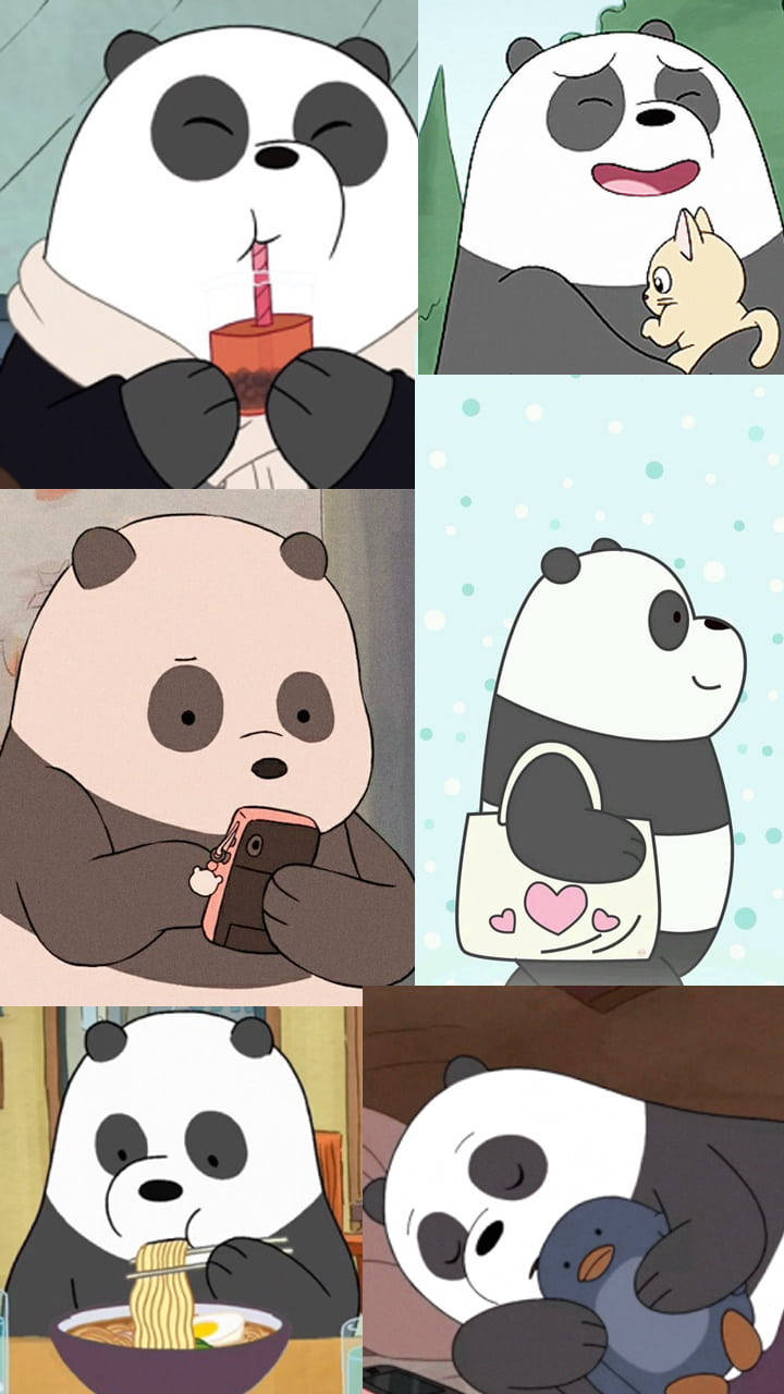 We Bare Bears 桌布 壁紙 — 一個六格漫畫， featuring 一隻卡通熊貓在各種可愛場景中，包括飲嘢、攬貓、用手機、拎住心形袋、食麵同攬雀仔。