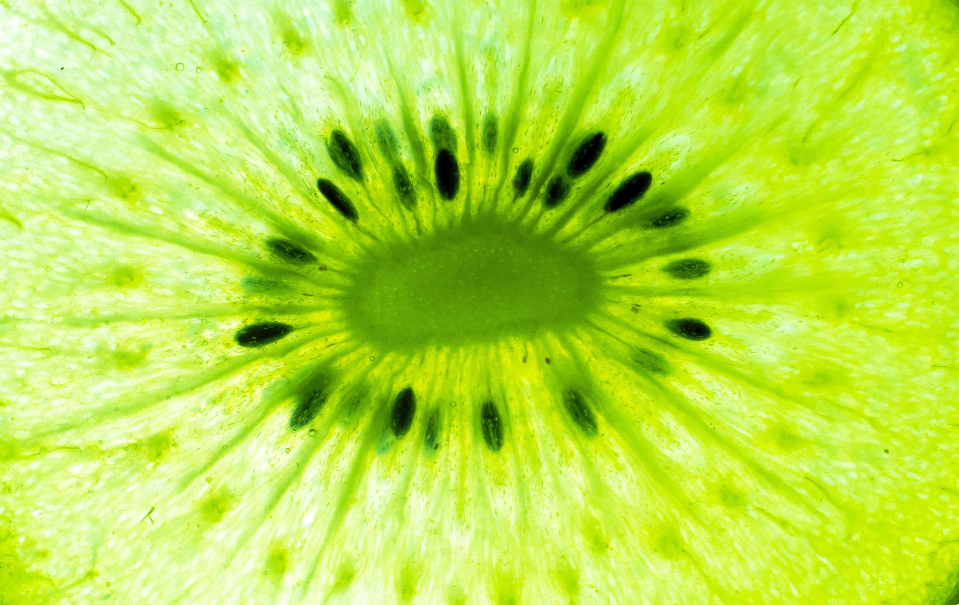 Kiwi 桌布 壁紙 — 一個切開嘅奇異果嘅鮮豔特寫，展現出佢鮮綠色嘅果肉同從中心放射出嚟嘅黑色種子。