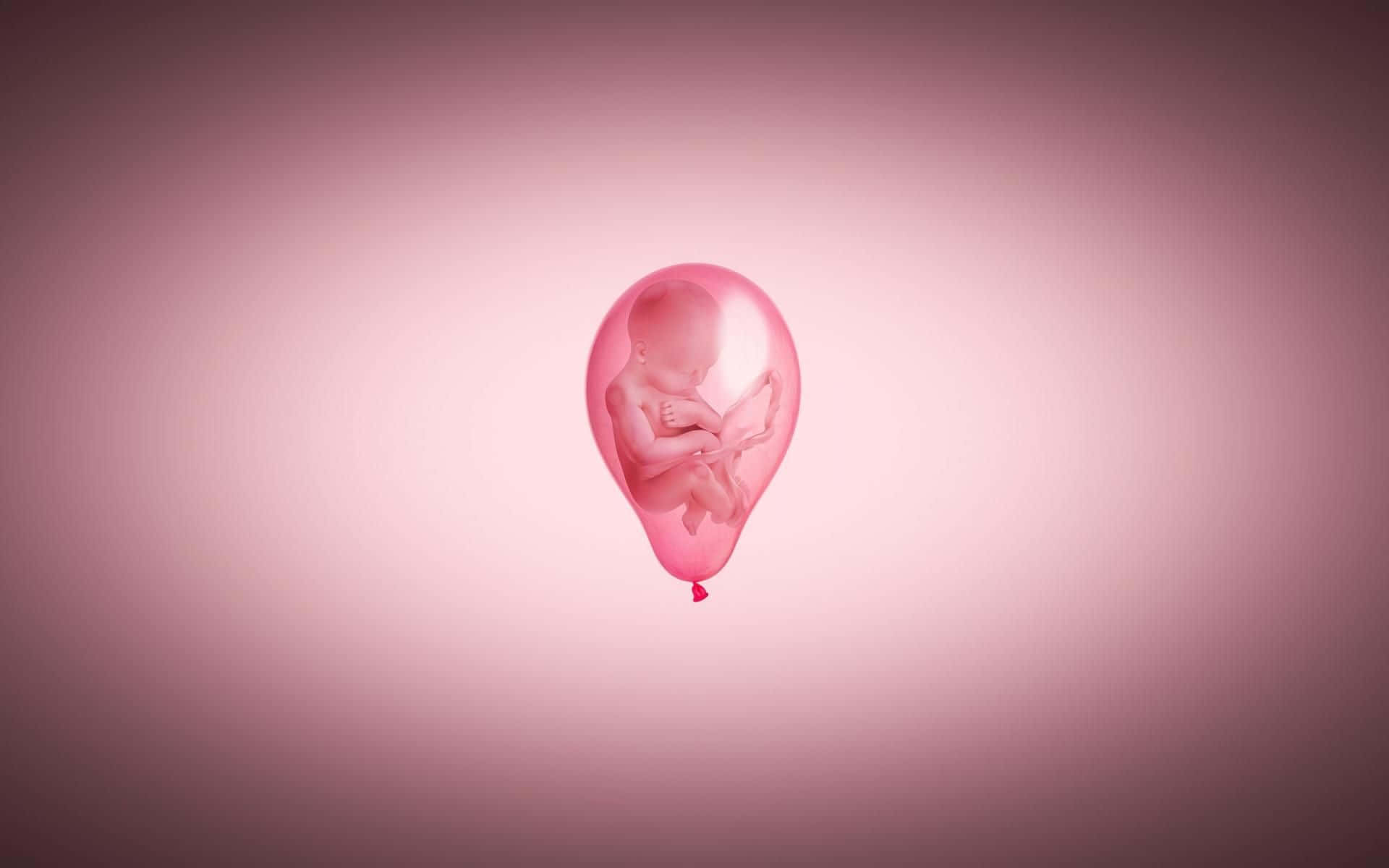 pregnancy 桌布 壁紙 — 一個半透明粉紅色氣球，形狀像胎兒，漂浮在柔和的漸變粉紅色背景上。