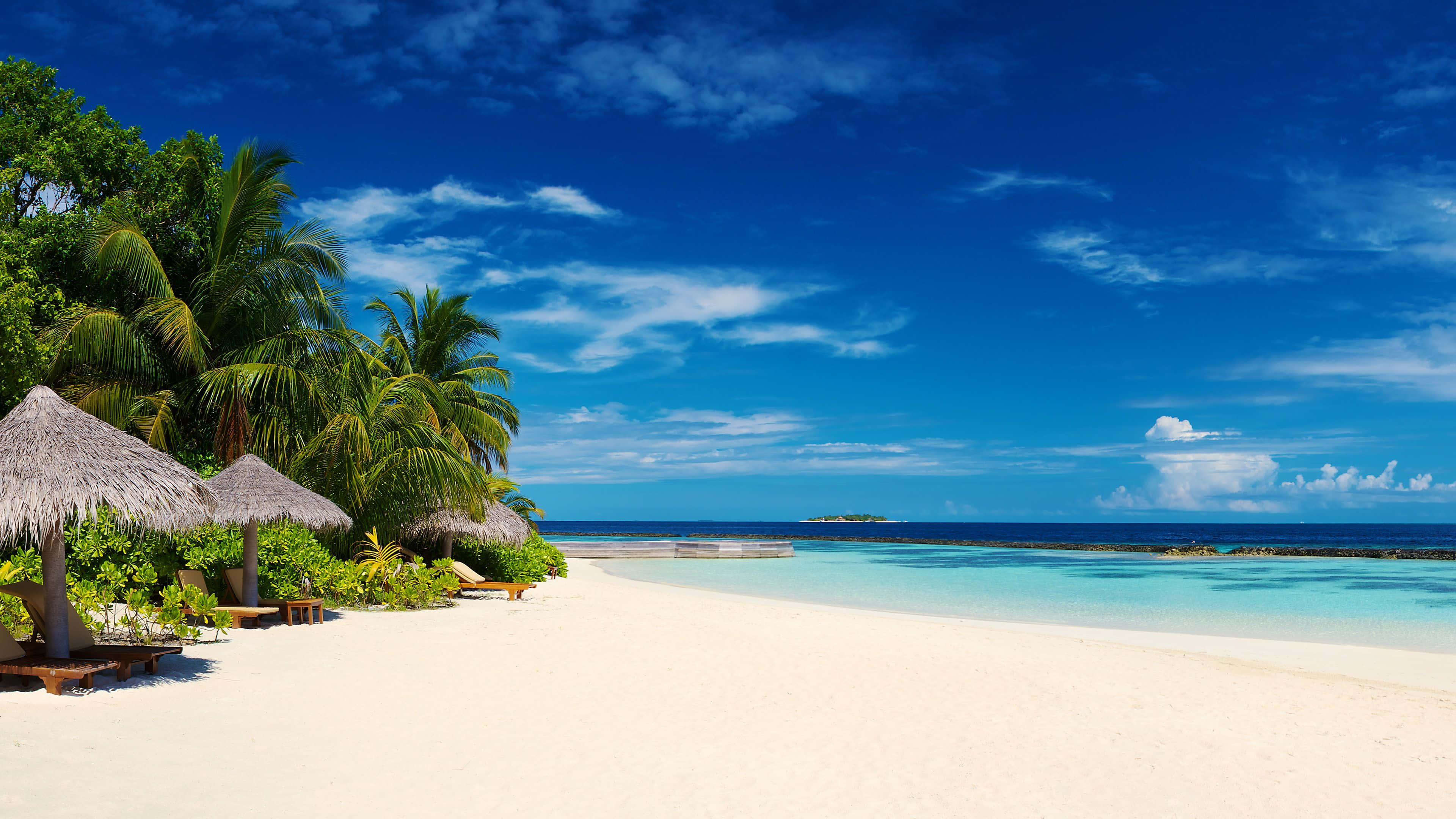 Tropical Beach 桌布 壁紙 — 一個原始熱帶海灘，擁有白色沙灘、碧綠海水和茂密的棕櫚樹，在充滿活力的藍天下。