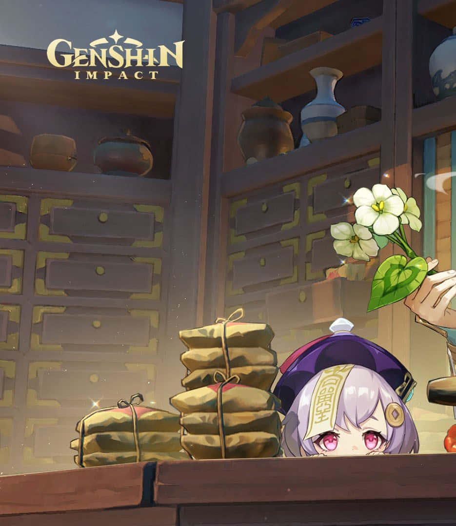 Genshin Impact Qiqi 桌布 壁紙 — 一個可愛的紫髮動漫女孩在一個舒適的藥房裡，越過木櫃檯窺視，手持白色花朵，周圍擺滿了罐子和麻袋。