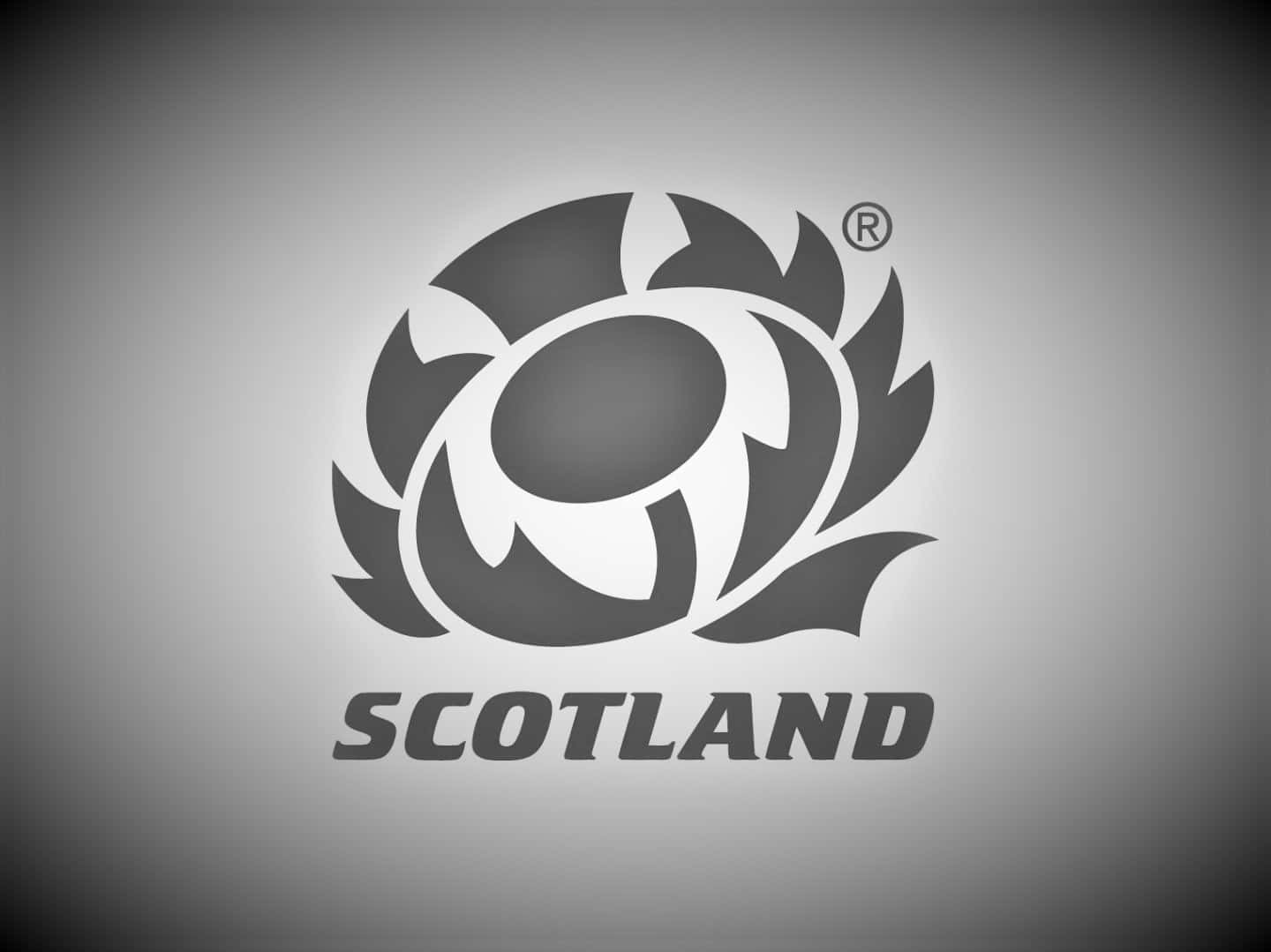 Scotland Rugby 桌布 壁紙 — 一個單色蘇格蘭薊標誌，帶有醒目花瓣，單詞 Scotland 居中於漸變灰色背景上。