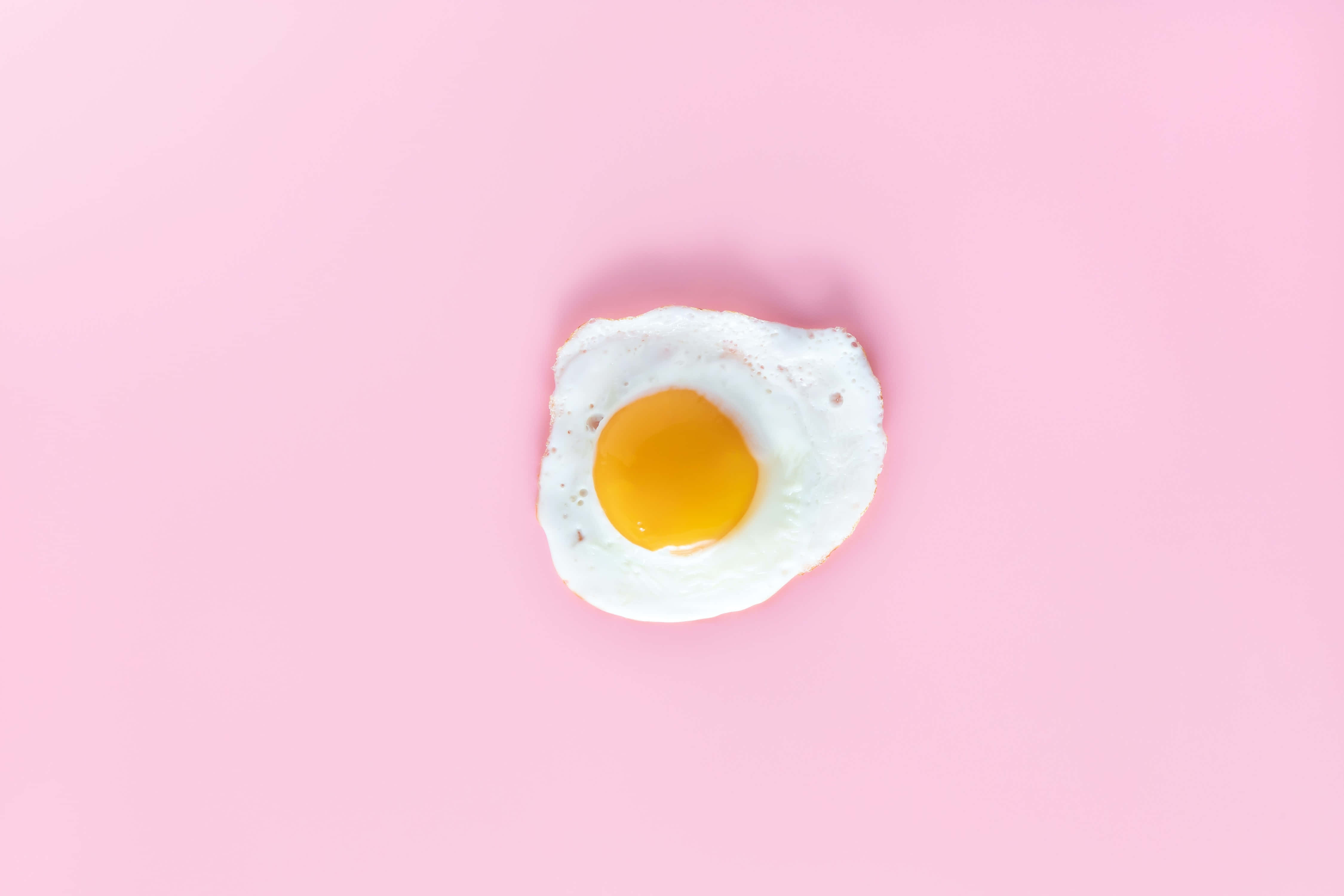 Egg White 桌布 壁紙 — 一個單面煎蛋置於柔軟的粉紅色背景中央，帶有明亮的黃色蛋黃。