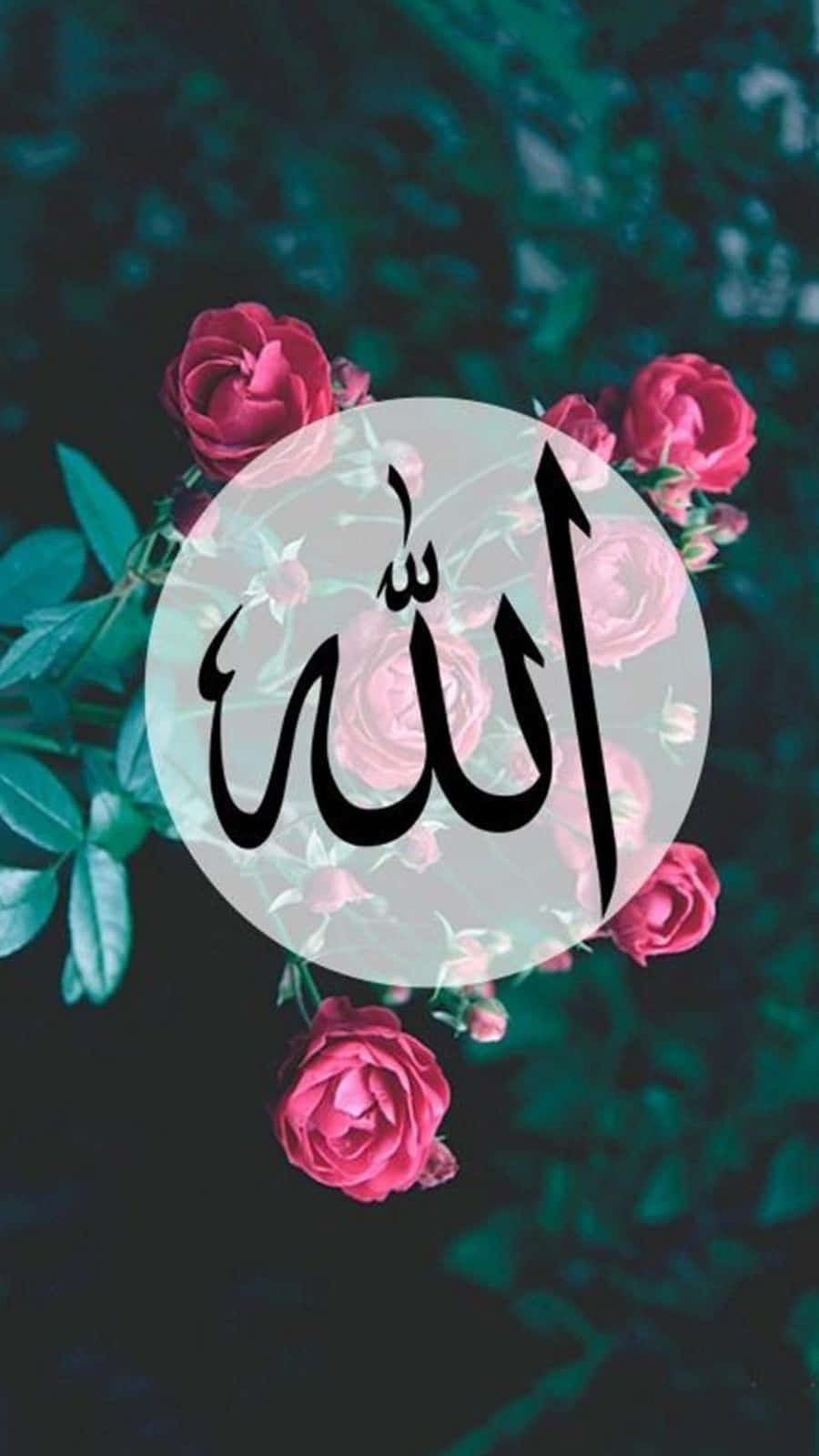 Allah 桌布 壁紙 — 一個圓形白色覆蓋層，帶有黑色的阿拉伯書法「阿拉」，位於鮮豔的粉紅玫瑰中央，背景為深藍綠色樹葉。