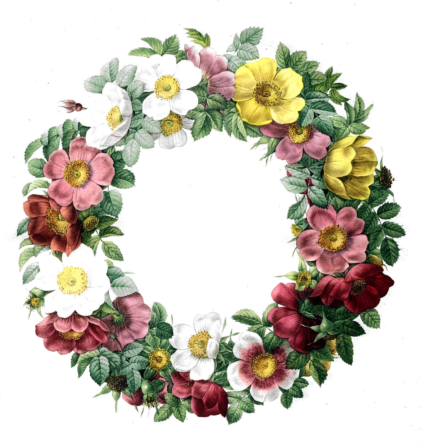 Floral Wreath 桌布 壁紙 — 一個圓形花環，由鮮豔的粉紅色、白色和黃色花朵以及茂盛的綠色葉子組成，在純白色背景上對稱排列。