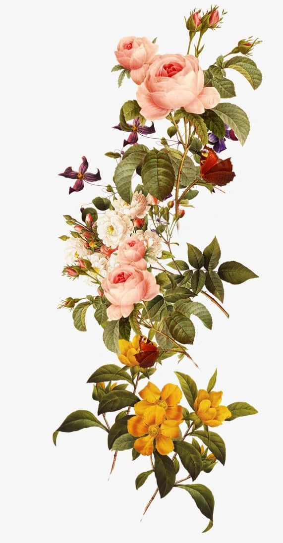Vintage Rose 桌布 壁紙 — 一個垂直排列，包含精緻的粉紅玫瑰、白色花朵和鮮豔的黃色花朵，搭配茂盛的綠葉，背景為純色。