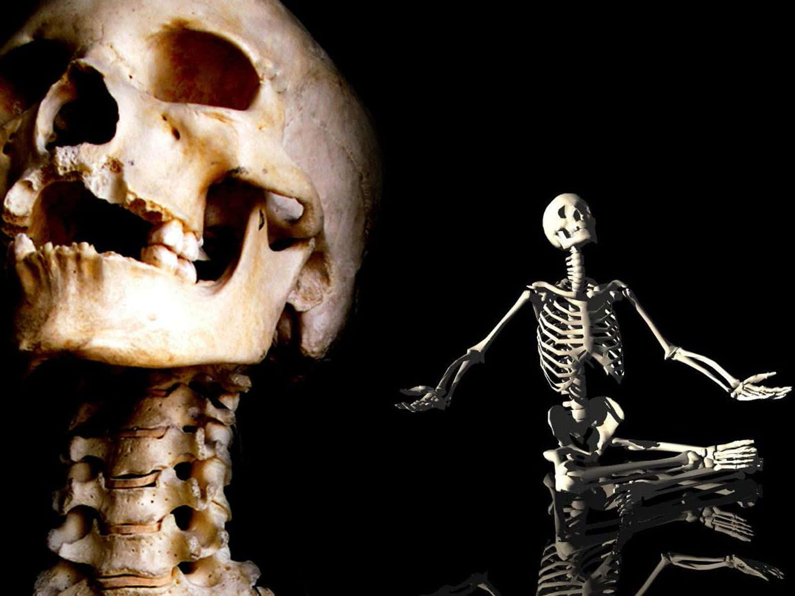 Halloween Skeleton 桌布 壁紙 — 一個大型人類頭骨和完整骨架放在黑色背景上，戲劇性燈光突出骨骼紋理和陰影。