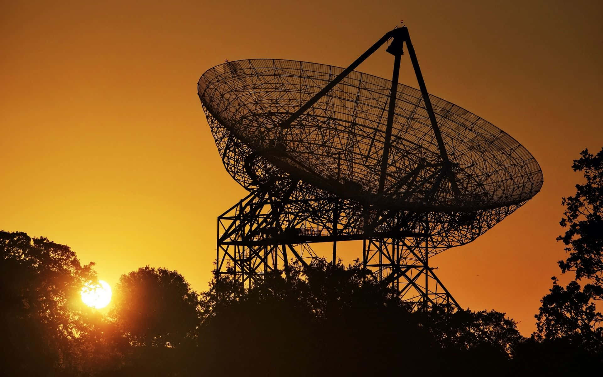 Radio Telescope 桌布 壁紙 — 一個大型無線電望遠鏡在充滿活力的橙色日落背景下形成剪影，樹木框住場景。