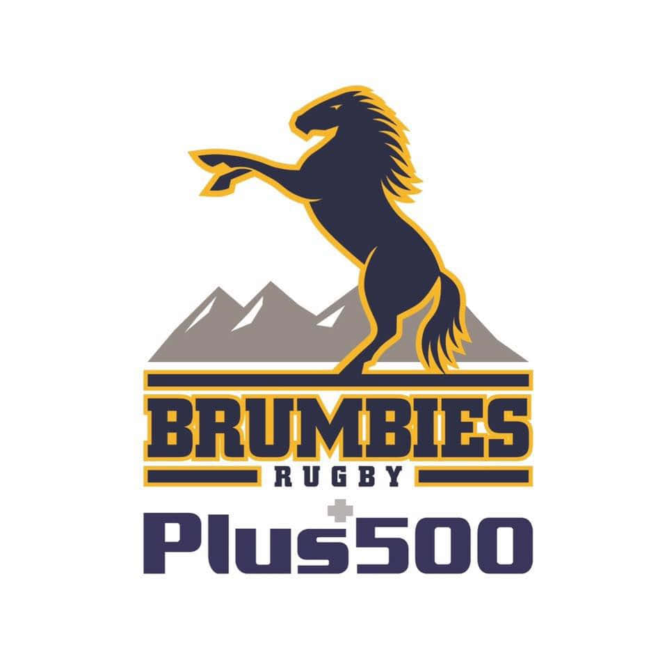 Brumbies 桌布 壁紙 — 一個大膽的標誌，一匹黑色駿馬帶金色輪廓立於灰色山脈之上，並有 Brumbies Rugby Plus500 文字。