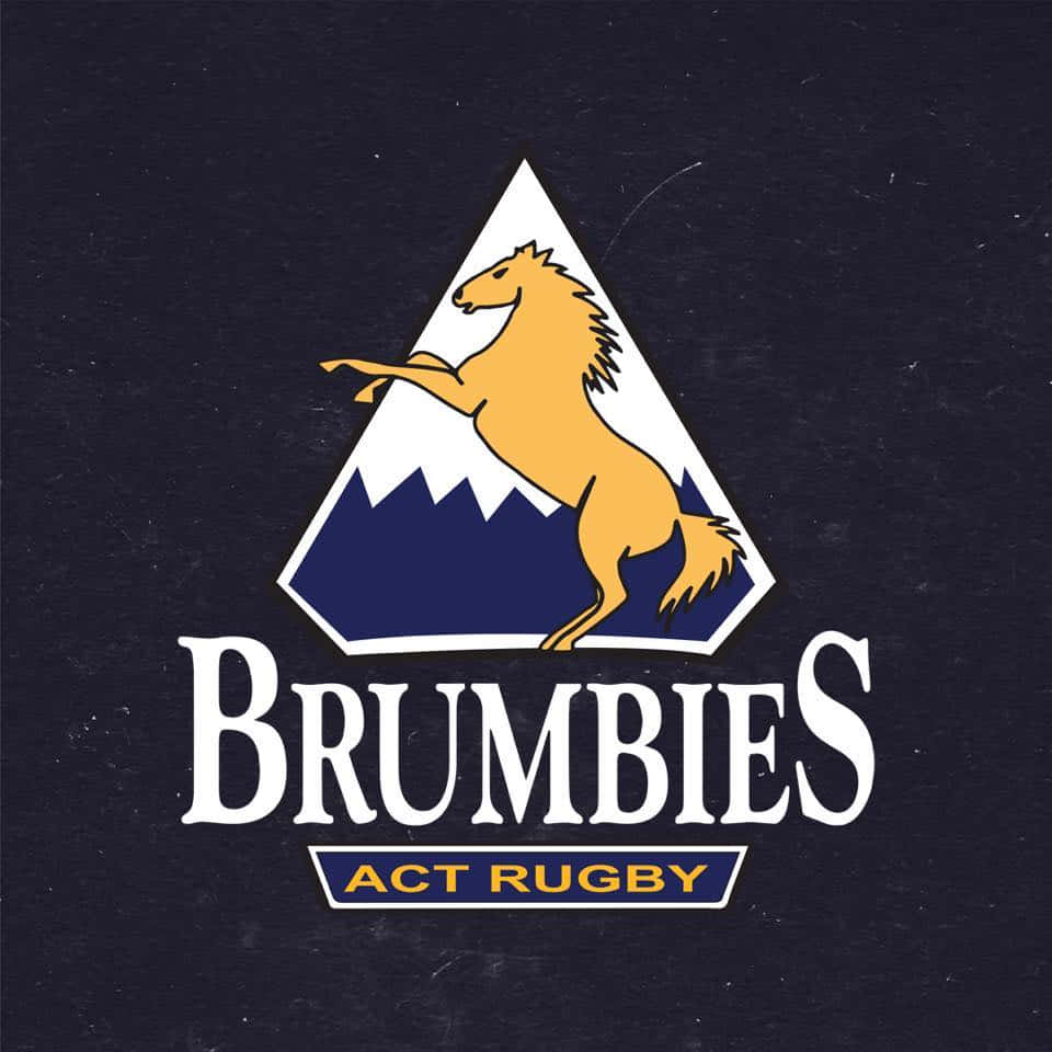 Brumbies 桌布 壁紙 — 一個大膽的標誌，在深藍色紋理背景上，一匹金色駿馬在白色山峰上昂首挺立，並帶有「BRUMBIES ACT RUGBY」文字。