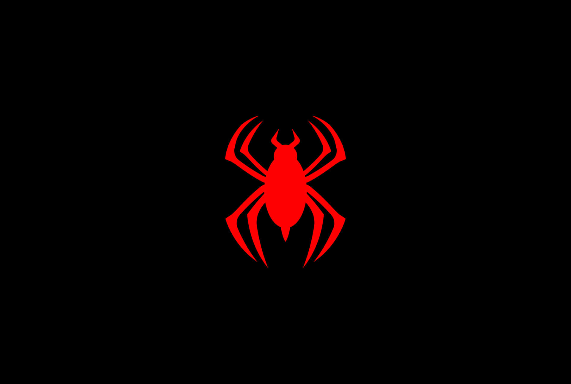 Red Spider 桌布 壁紙 — 一個大膽的紅色蜘蛛剪影居中在純黑色背景上，創造出引人注目的極簡圖形。