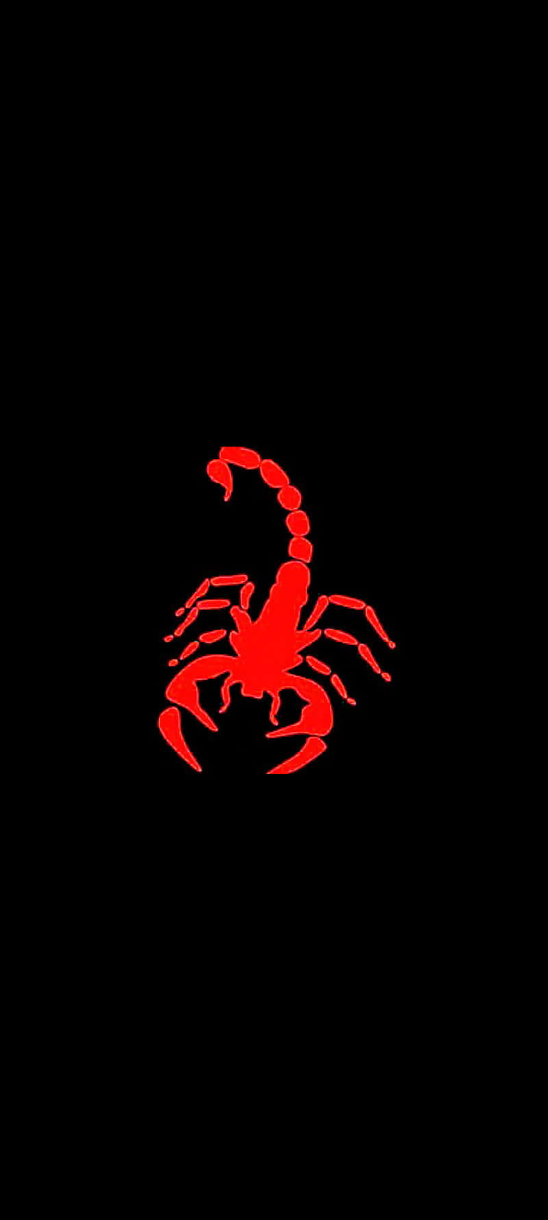 Red Scorpion 桌布 壁紙 — 一個大膽的紅色蠍子剪影，居中於純黑色背景上。
