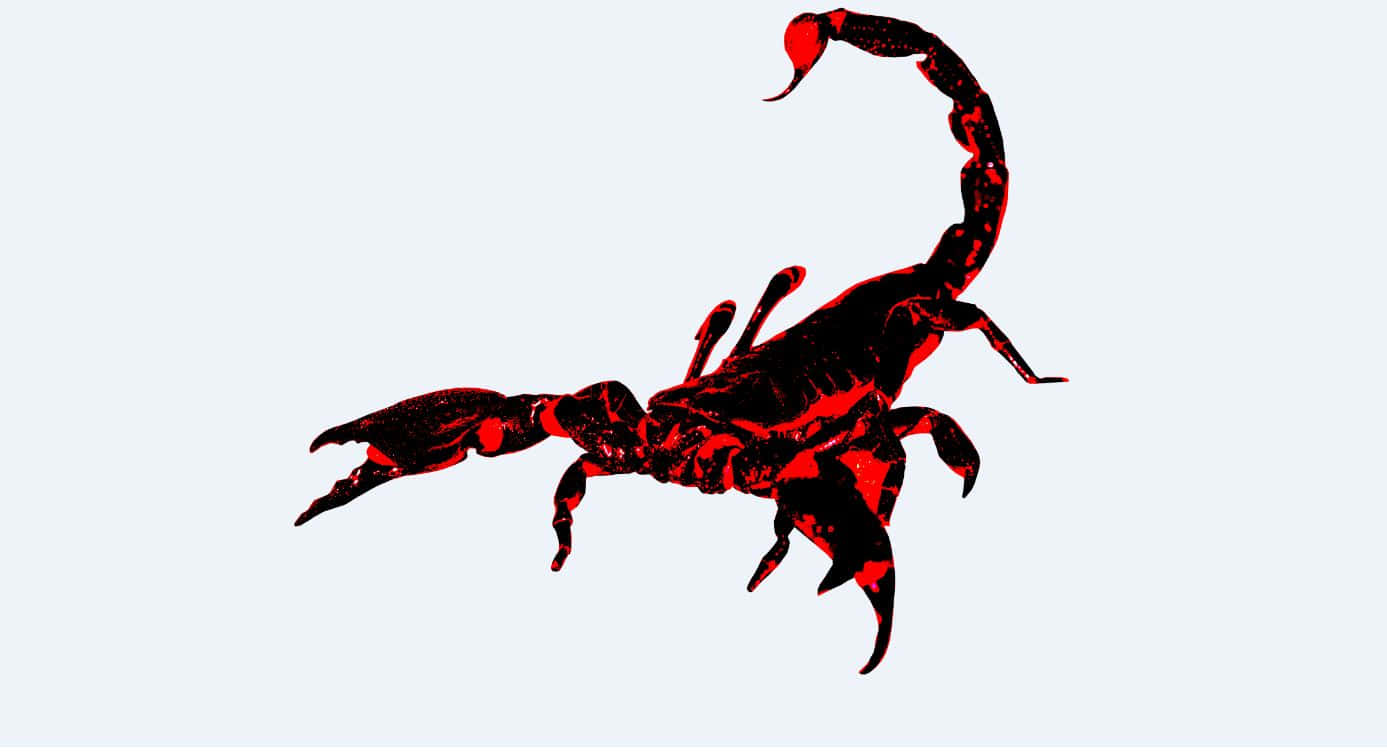 Red Scorpion 桌布 壁紙 — 一個大膽的紅色蠍子剪影，帶有黑色輪廓，立在淺灰色背景上。