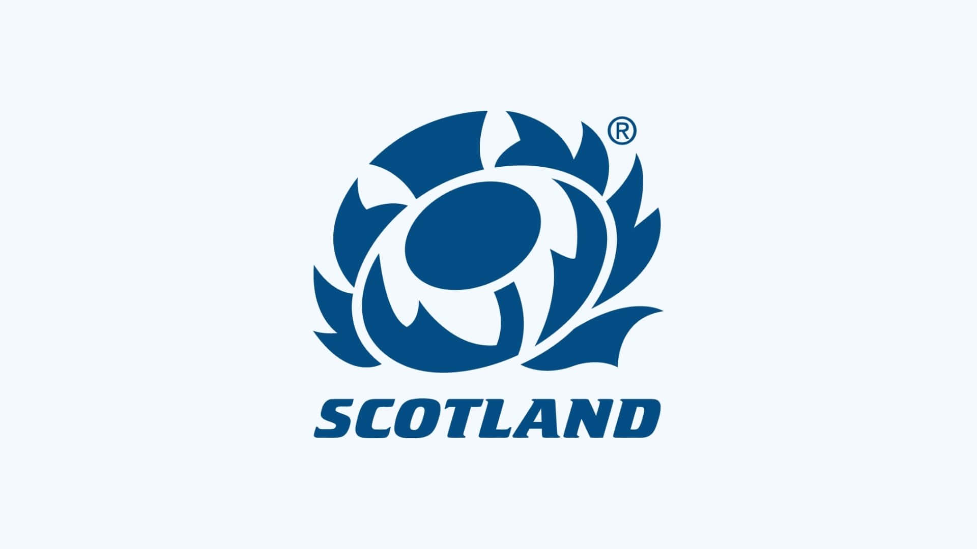 Scotland Rugby 桌布 壁紙 — 一個大膽的藍色薊標誌，在淺灰色背景上帶有 'SCOTLAND' 文字。