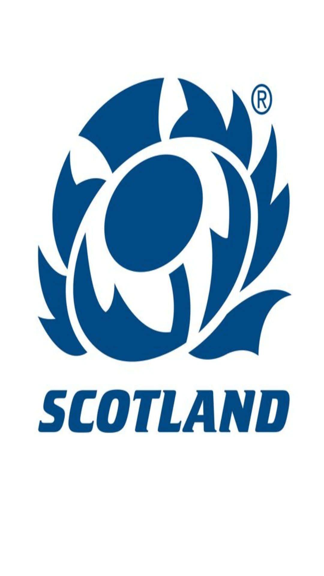 Scotland Rugby 桌布 壁紙 — 一個大膽的藍色薊花徽章，下方有「蘇格蘭」字樣，置於潔白背景上。