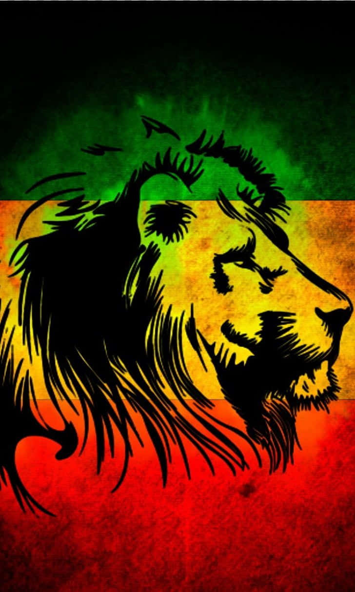 Lion Of Judah 桌布 壁紙 — 一個大膽的黑色獅子頭剪影，背景是充滿活力的拉斯塔法里旗漸變色。